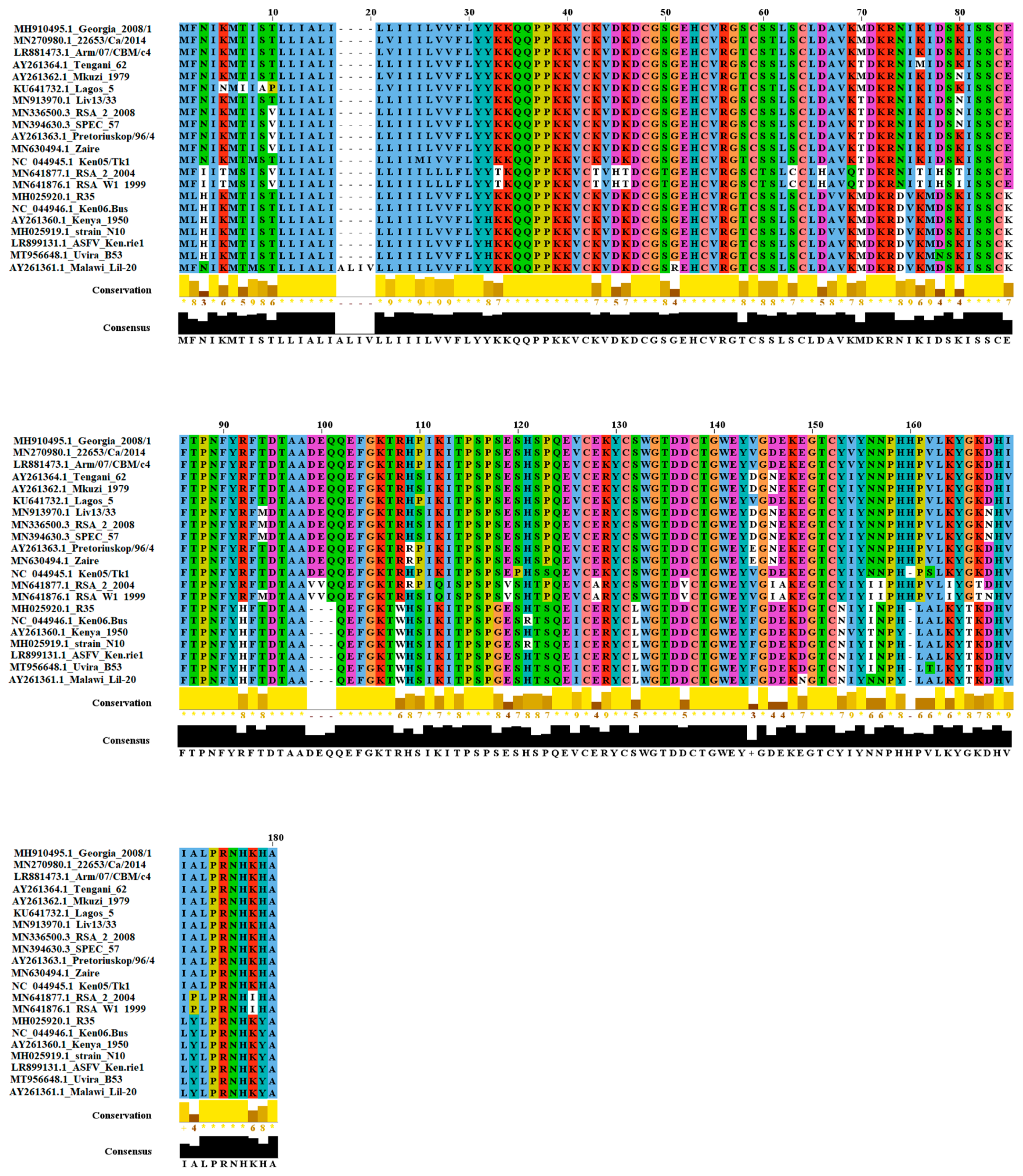 Viruses 13 00986 g001