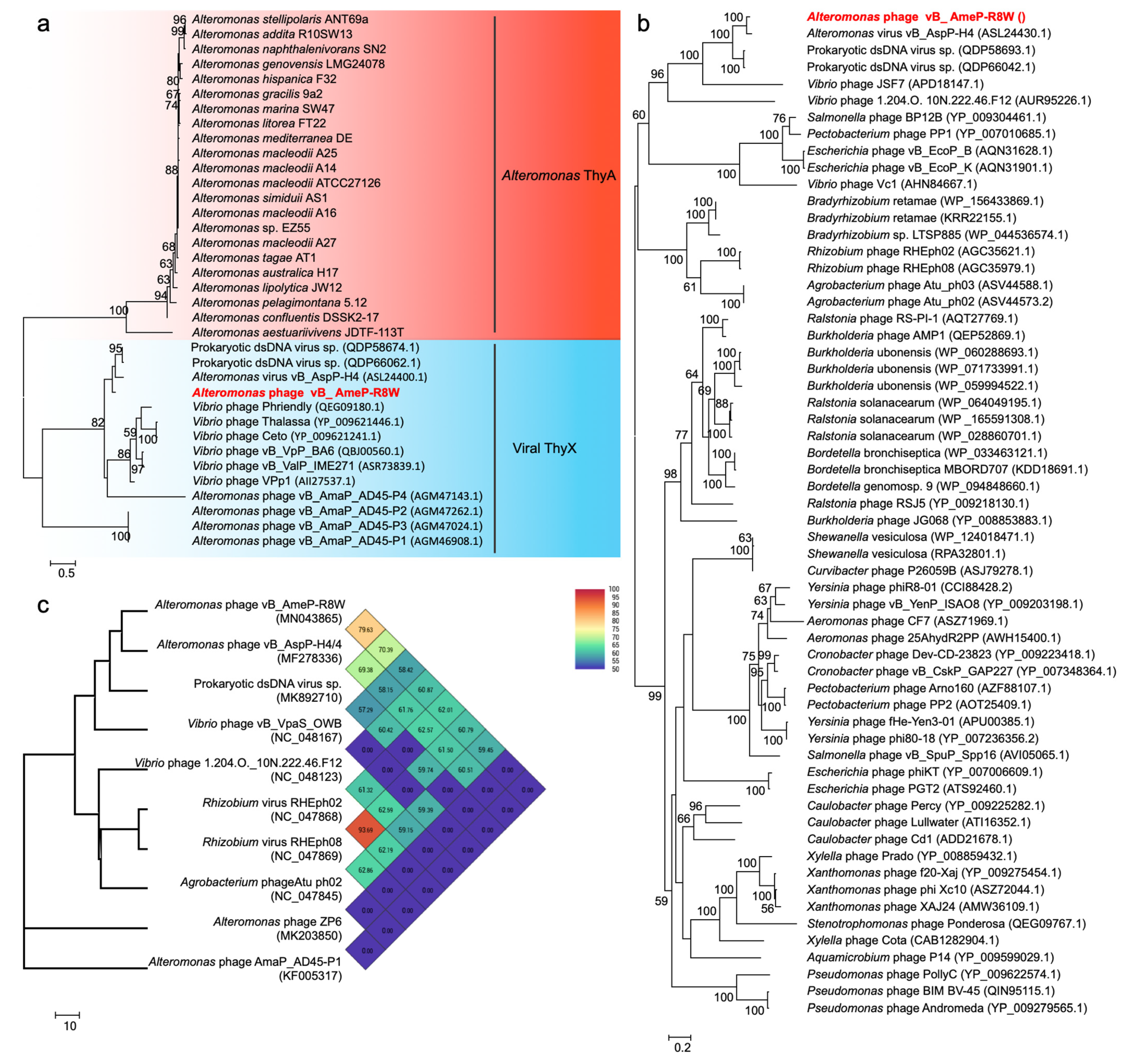 Viruses 13 00987 g003