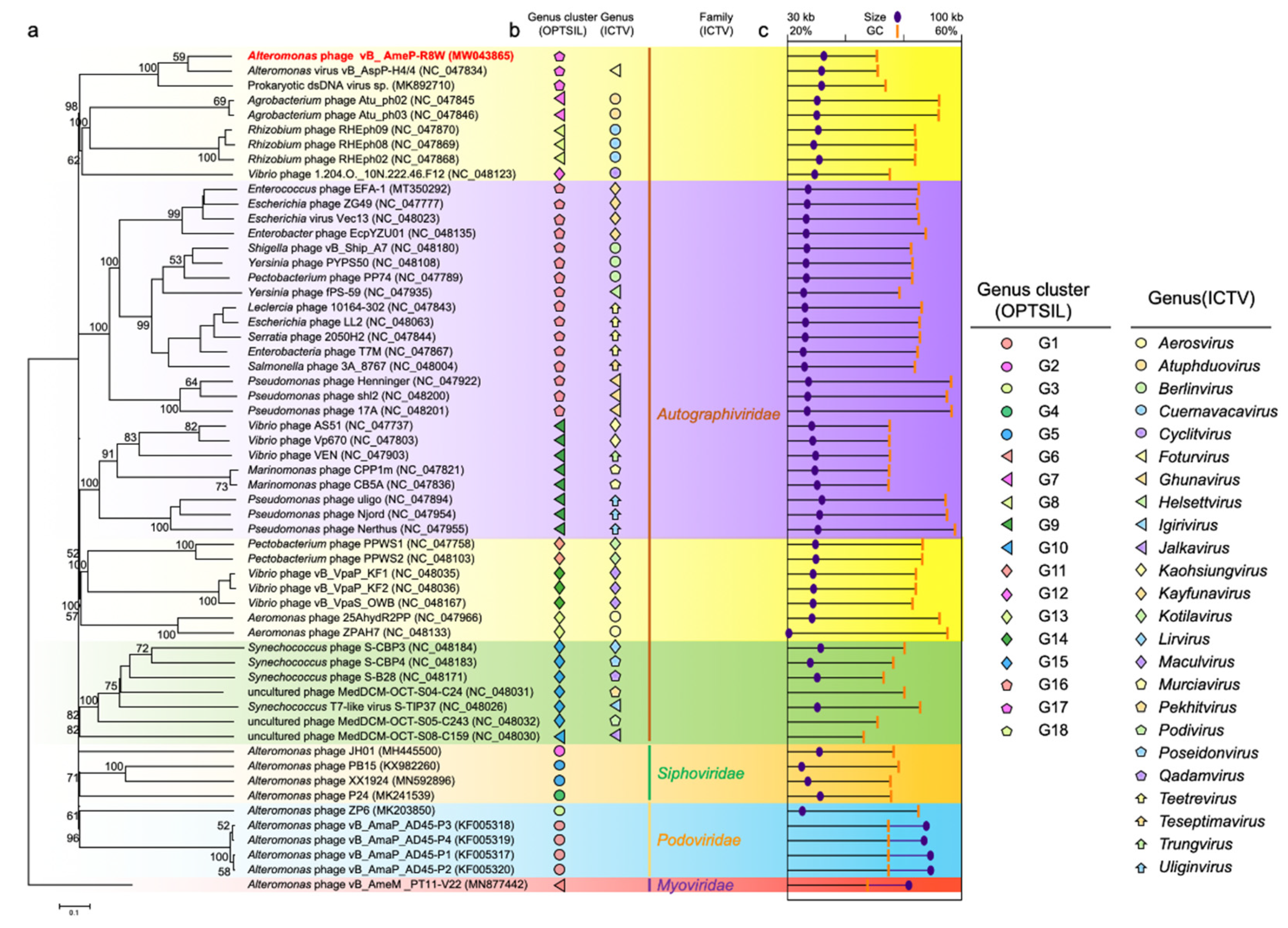 Viruses 13 00987 g005