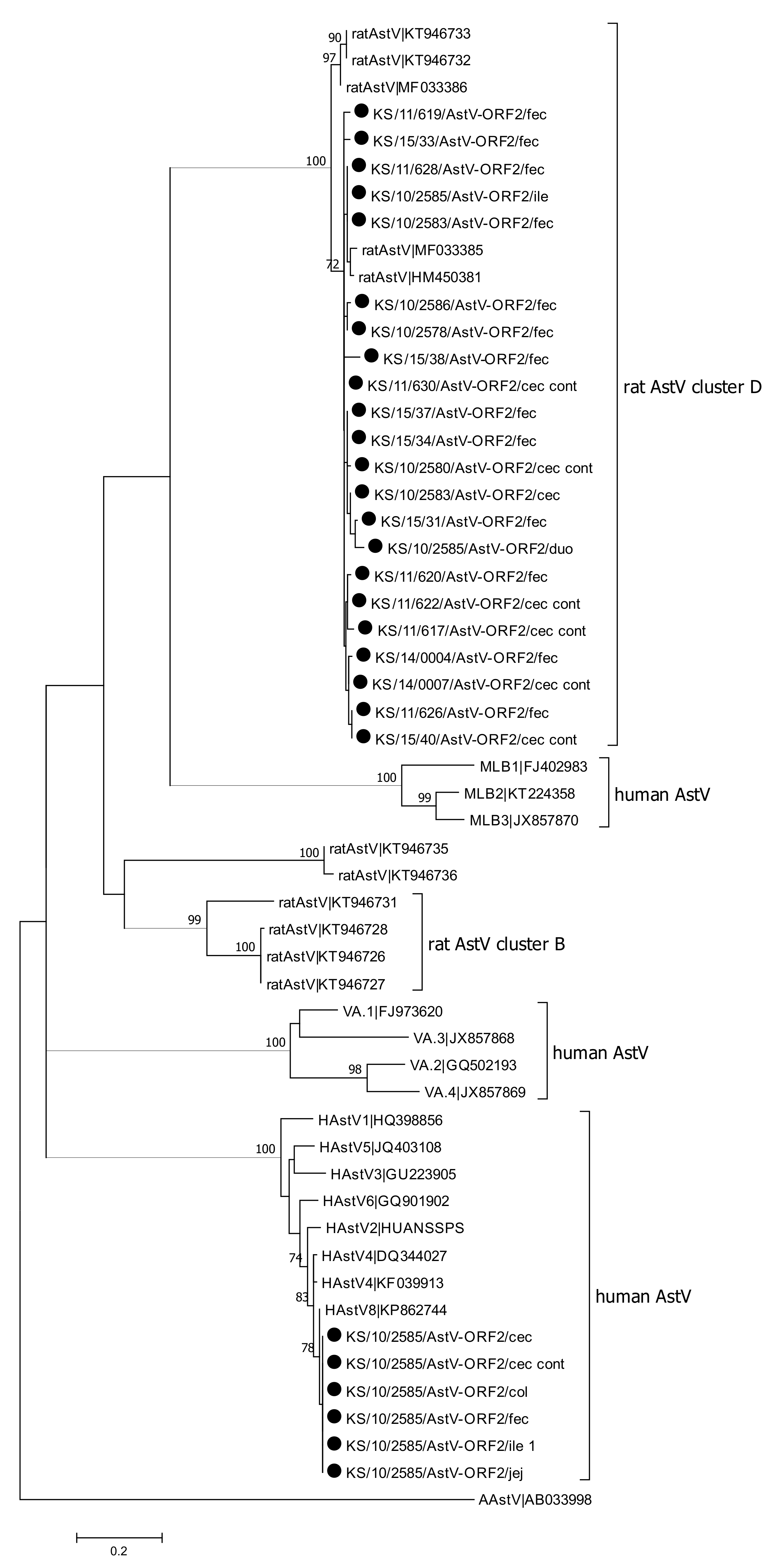 Viruses 13 00992 g001