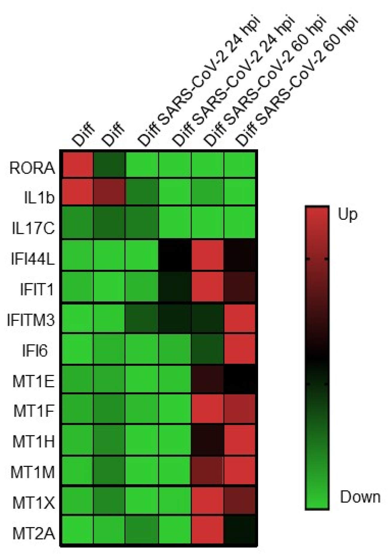 Viruses 13 00999 g002 Viruses 13 00999 g002