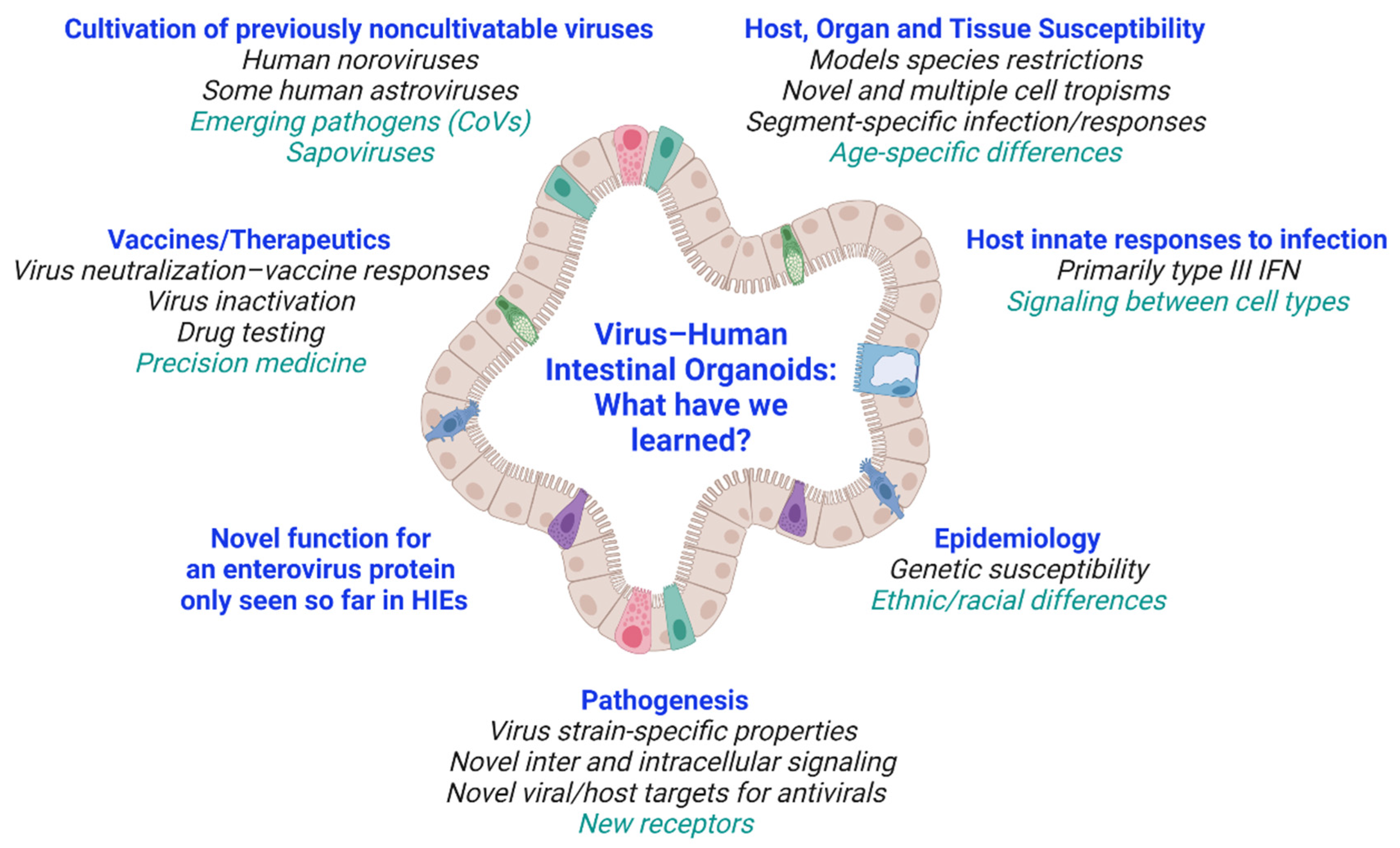 Viruses 13 00999 g003 Viruses 13 00999 g003