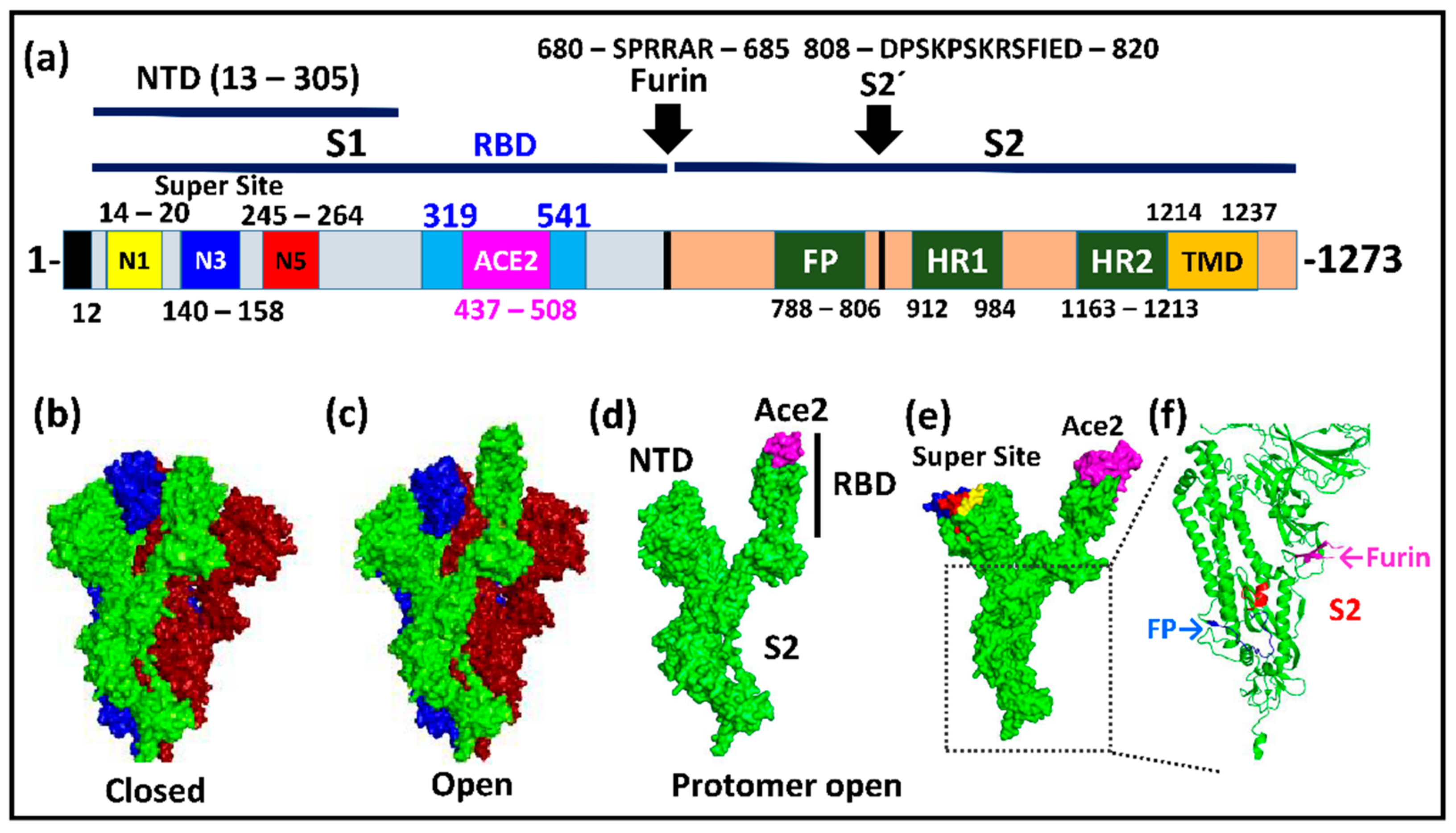 Viruses 13 01002 g001