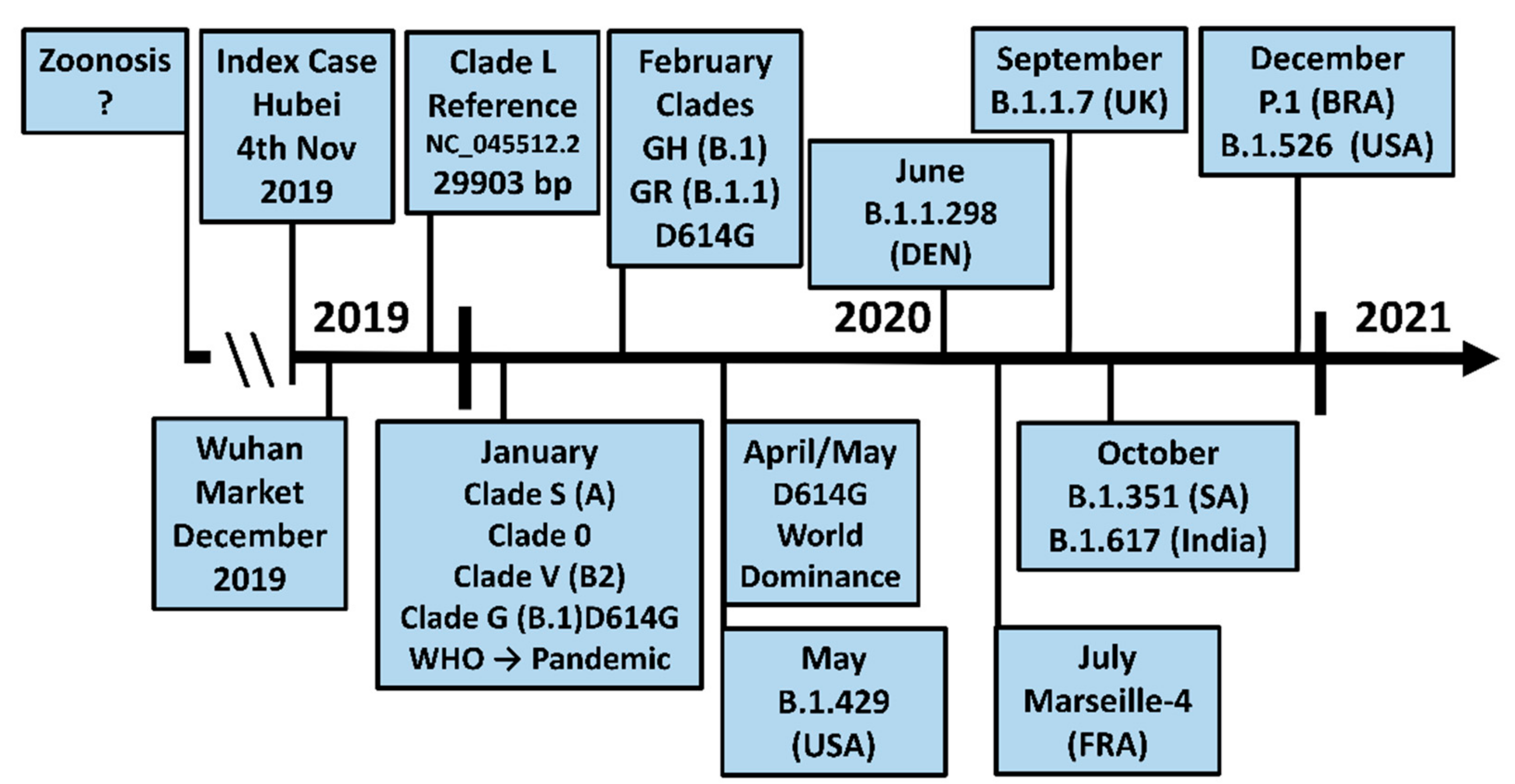 Viruses 13 01002 g002