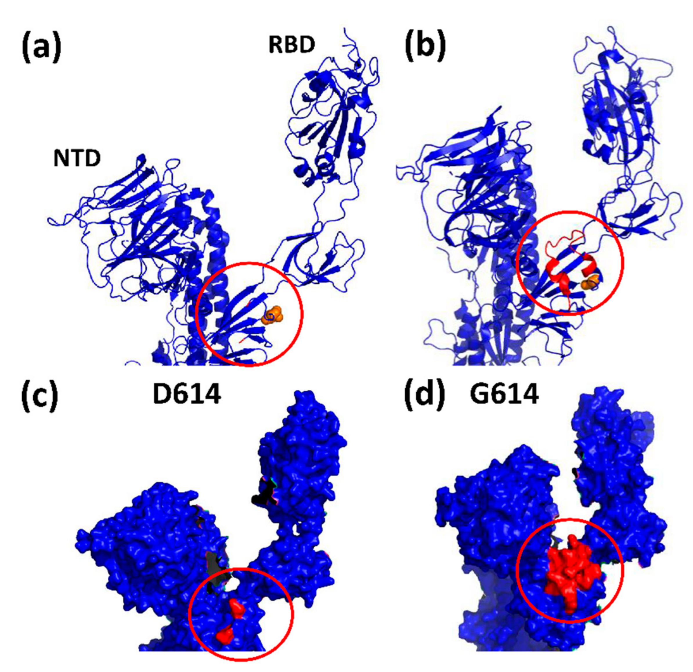 Viruses 13 01002 g003