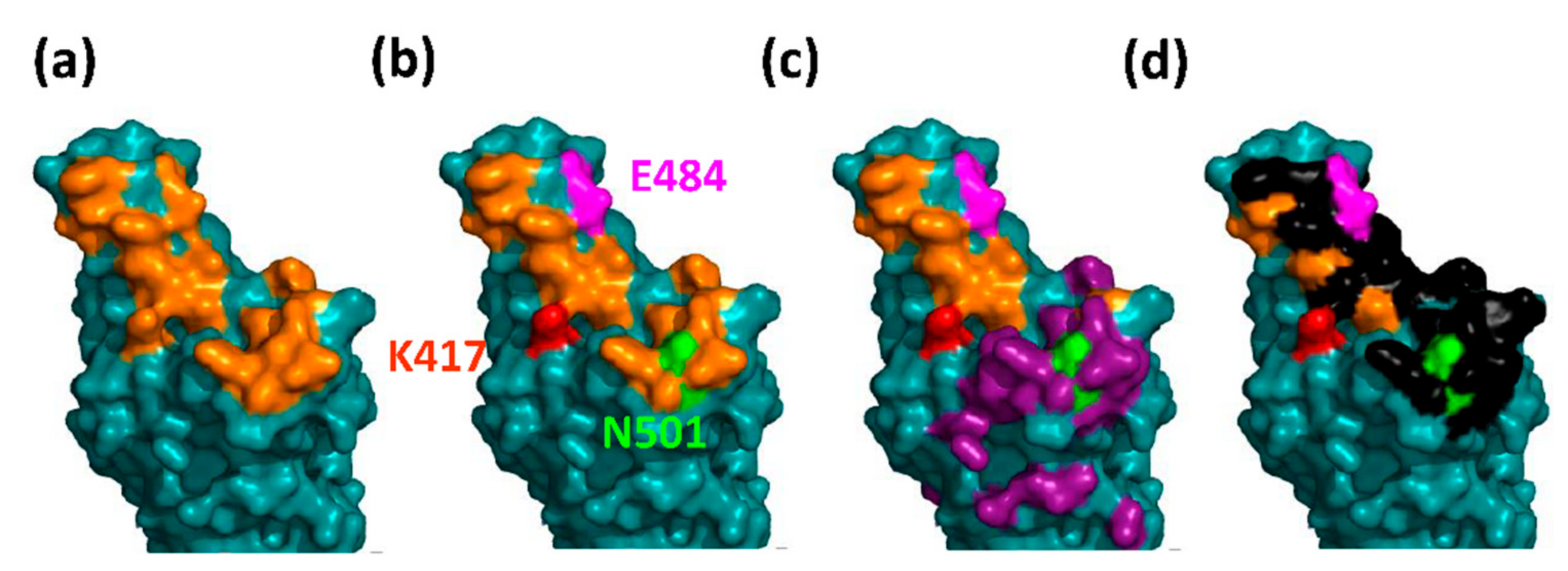 Viruses 13 01002 g007