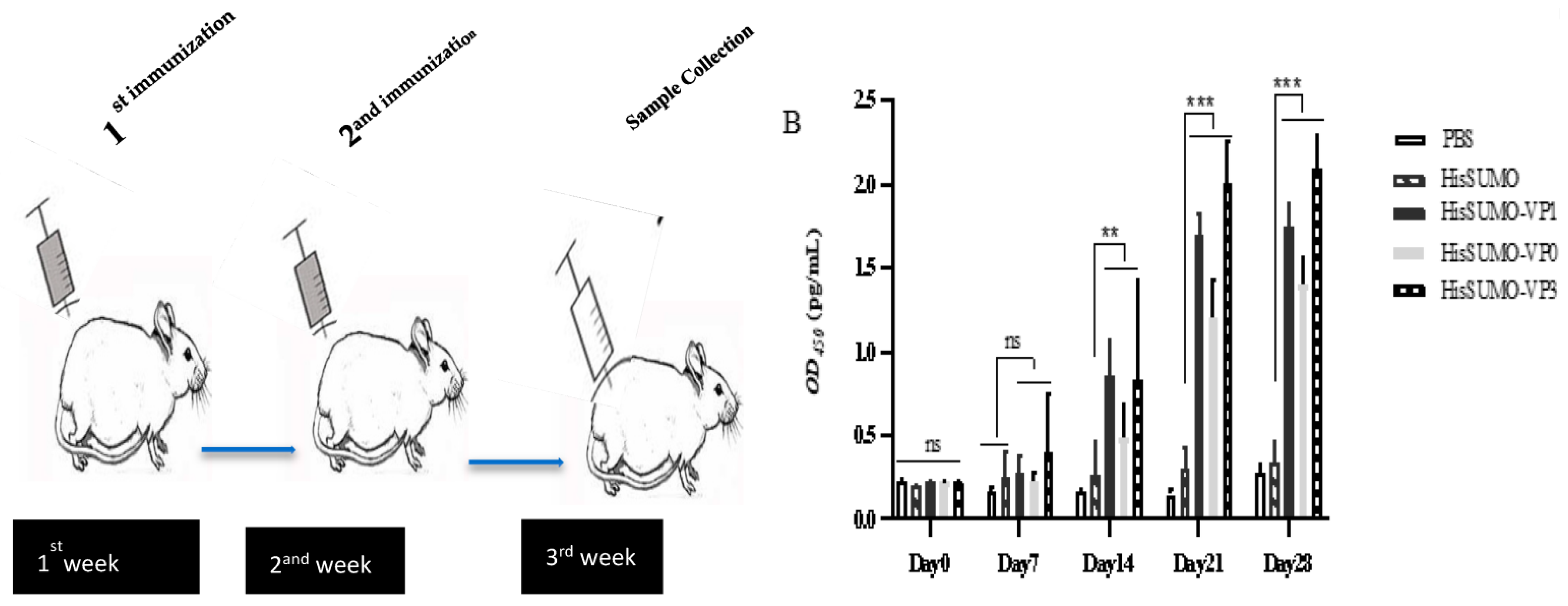 Viruses 13 01005 g004 Viruses 13 01005 g004