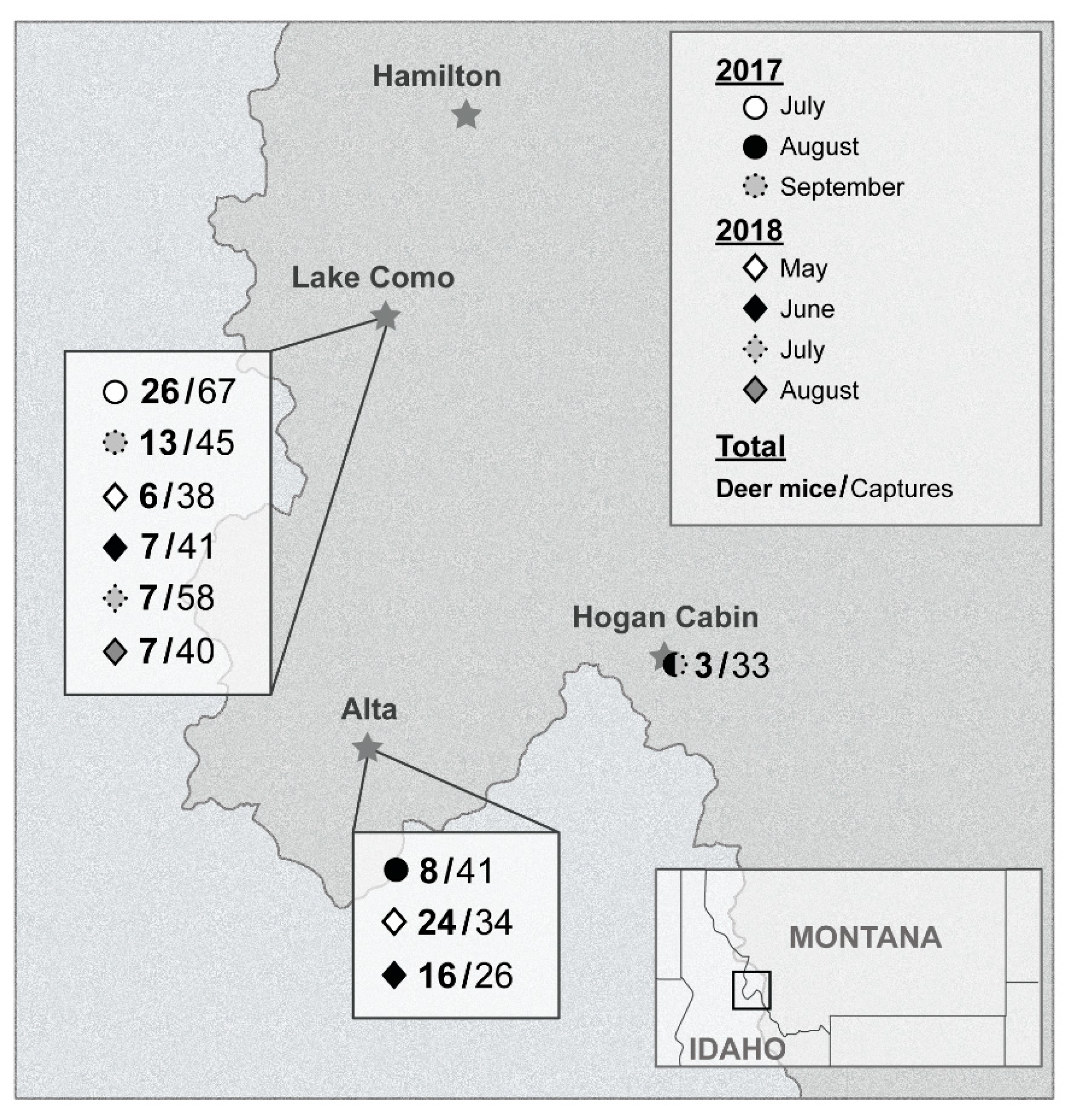 Viruses 13 01006 g001