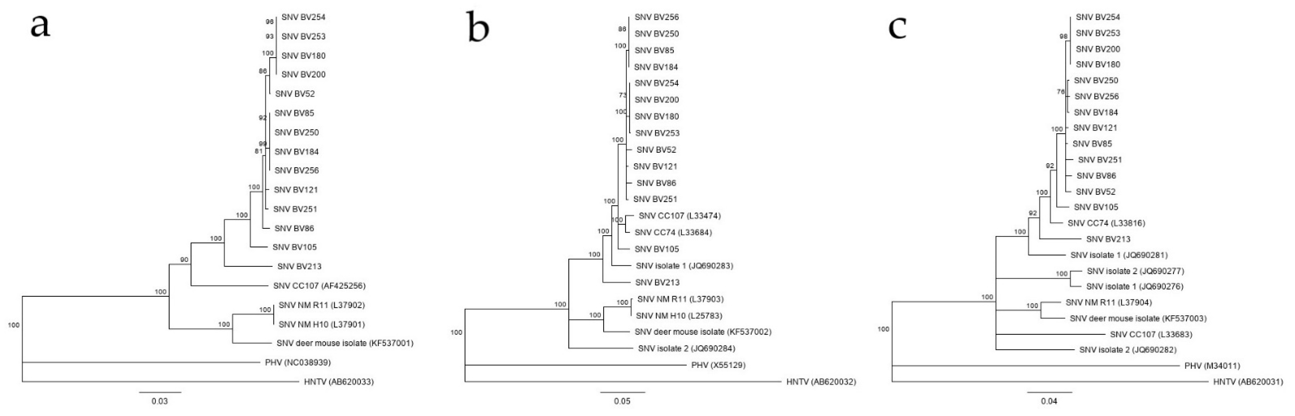 Viruses 13 01006 g002