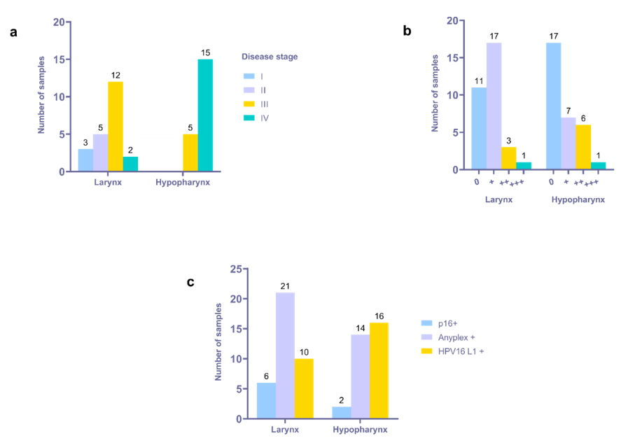 Viruses 13 01008 g001