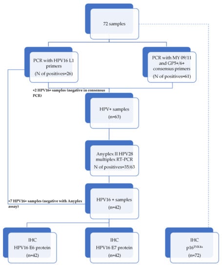Viruses 13 01008 g0a1