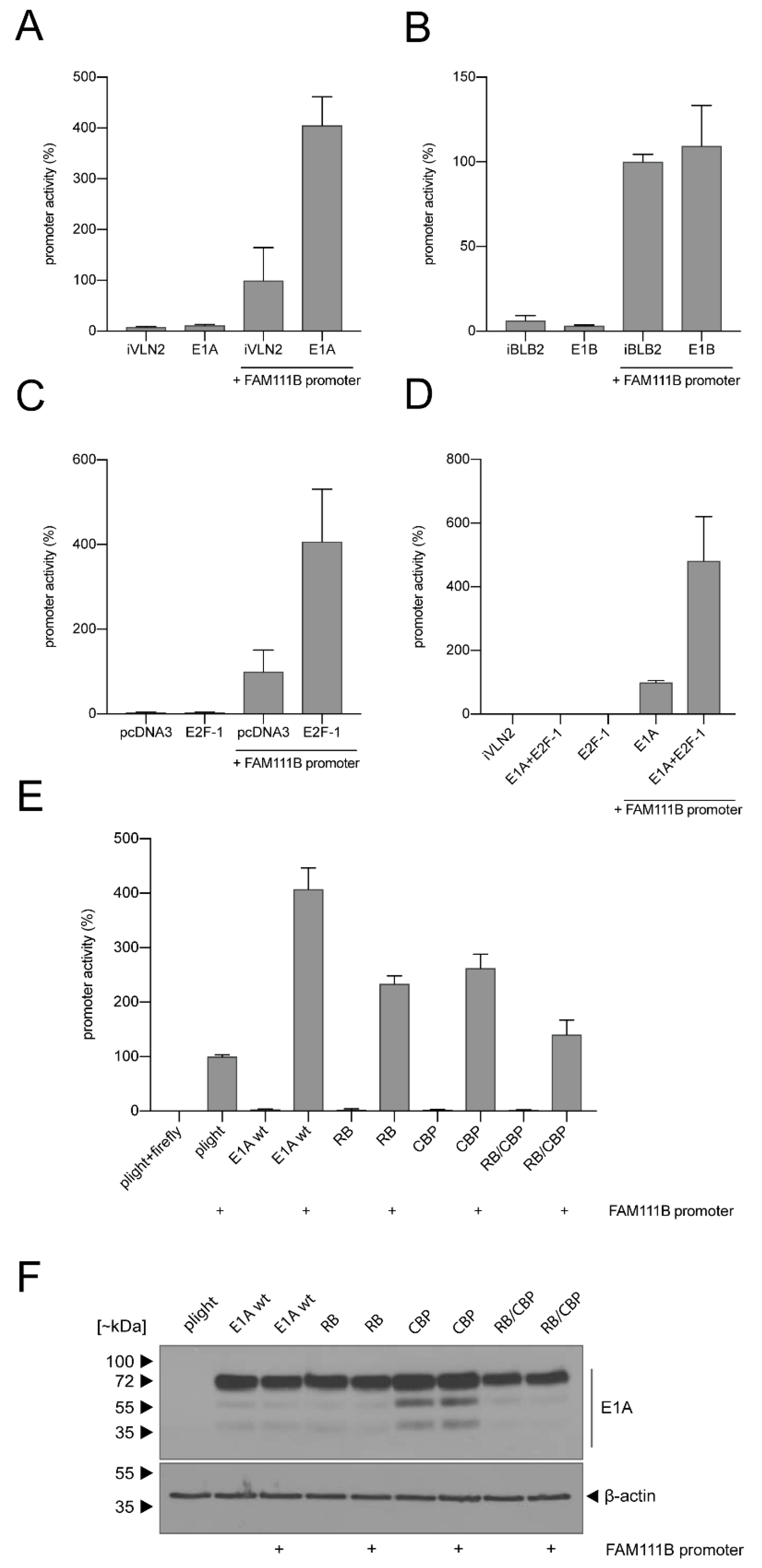 Viruses 13 01015 g003
