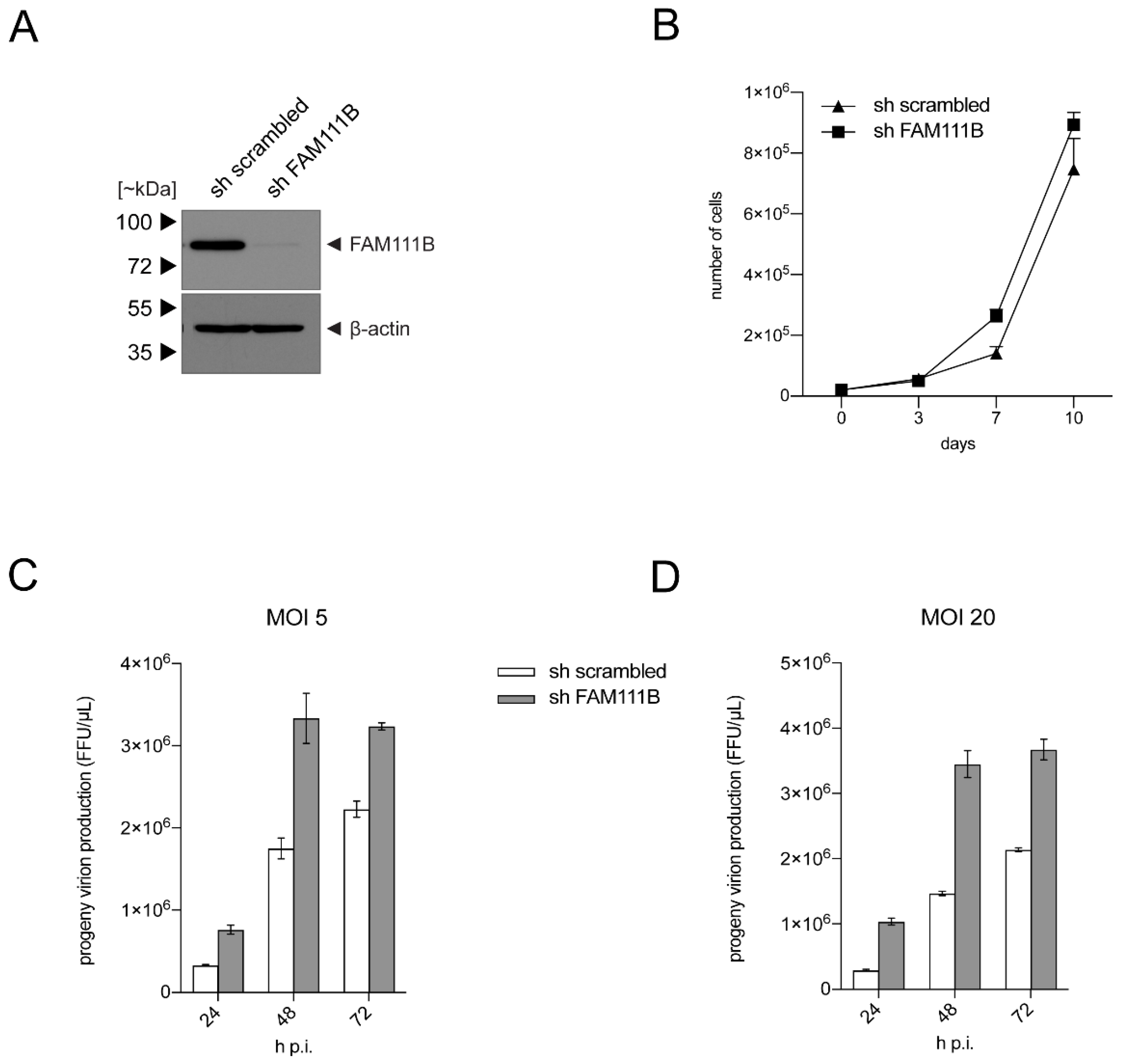Viruses 13 01015 g004