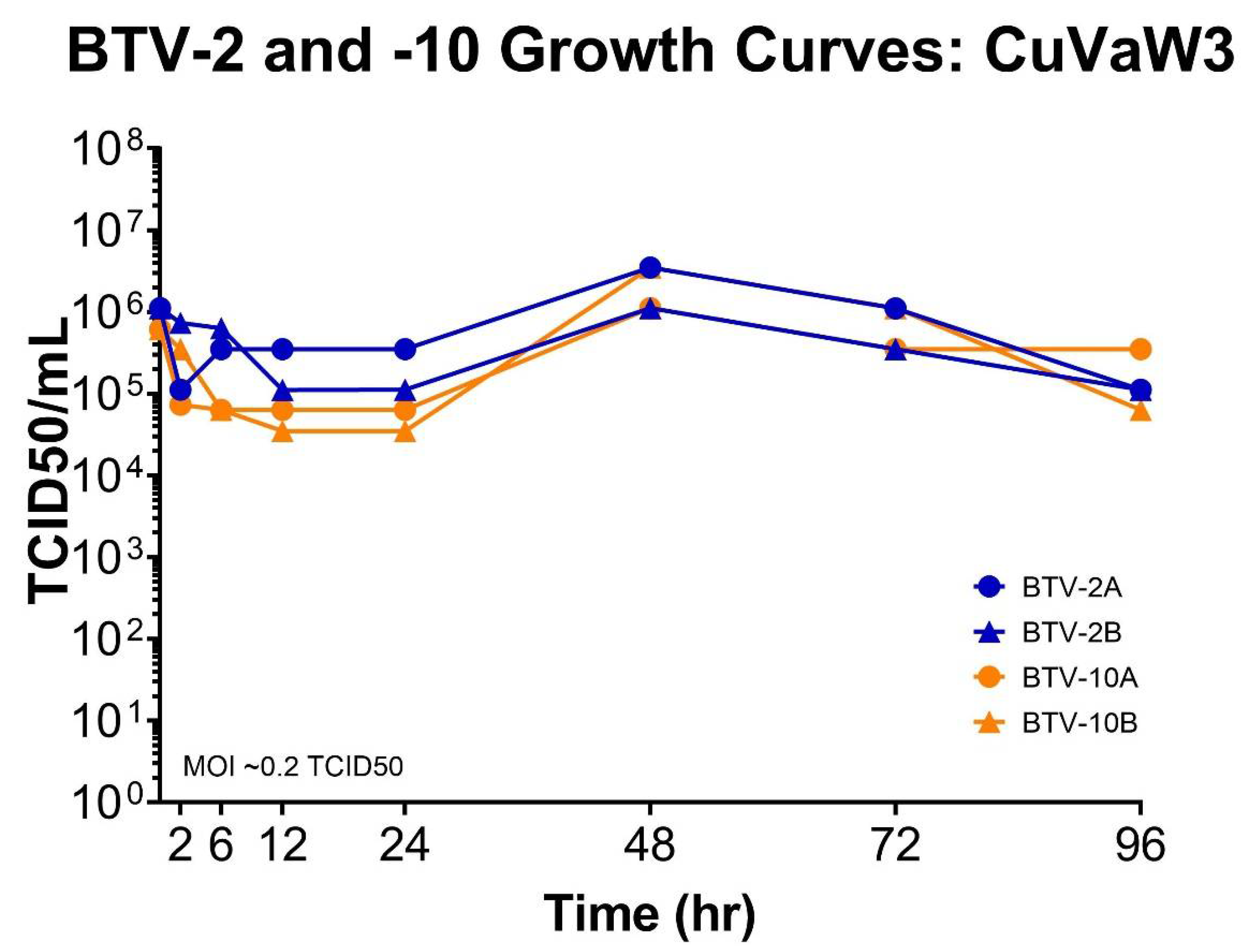 Viruses 13 01016 g001