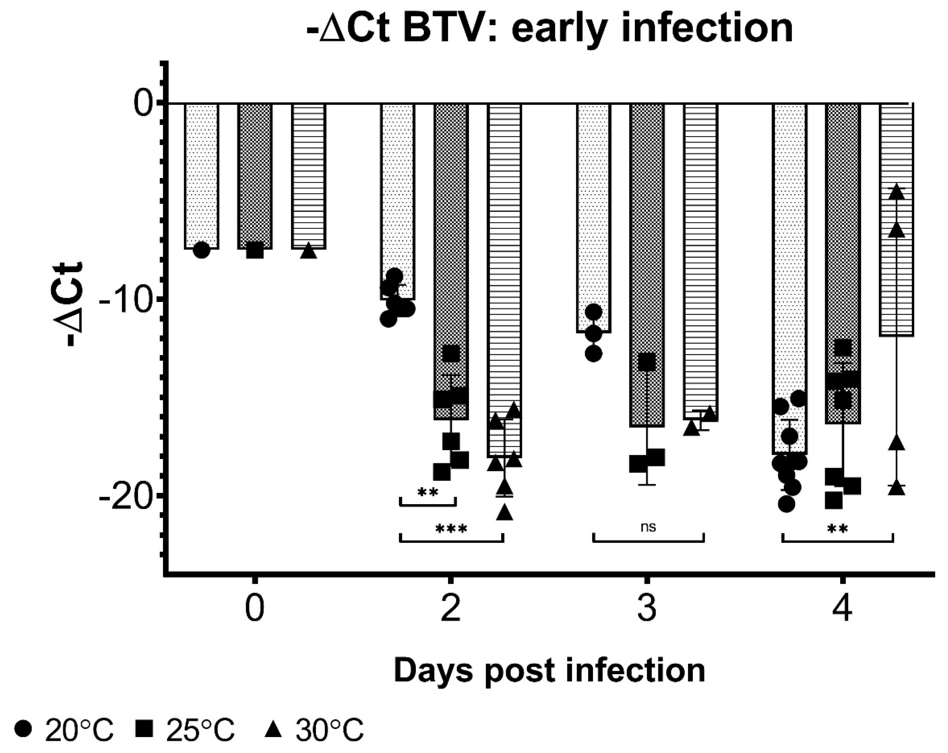 Viruses 13 01016 g003