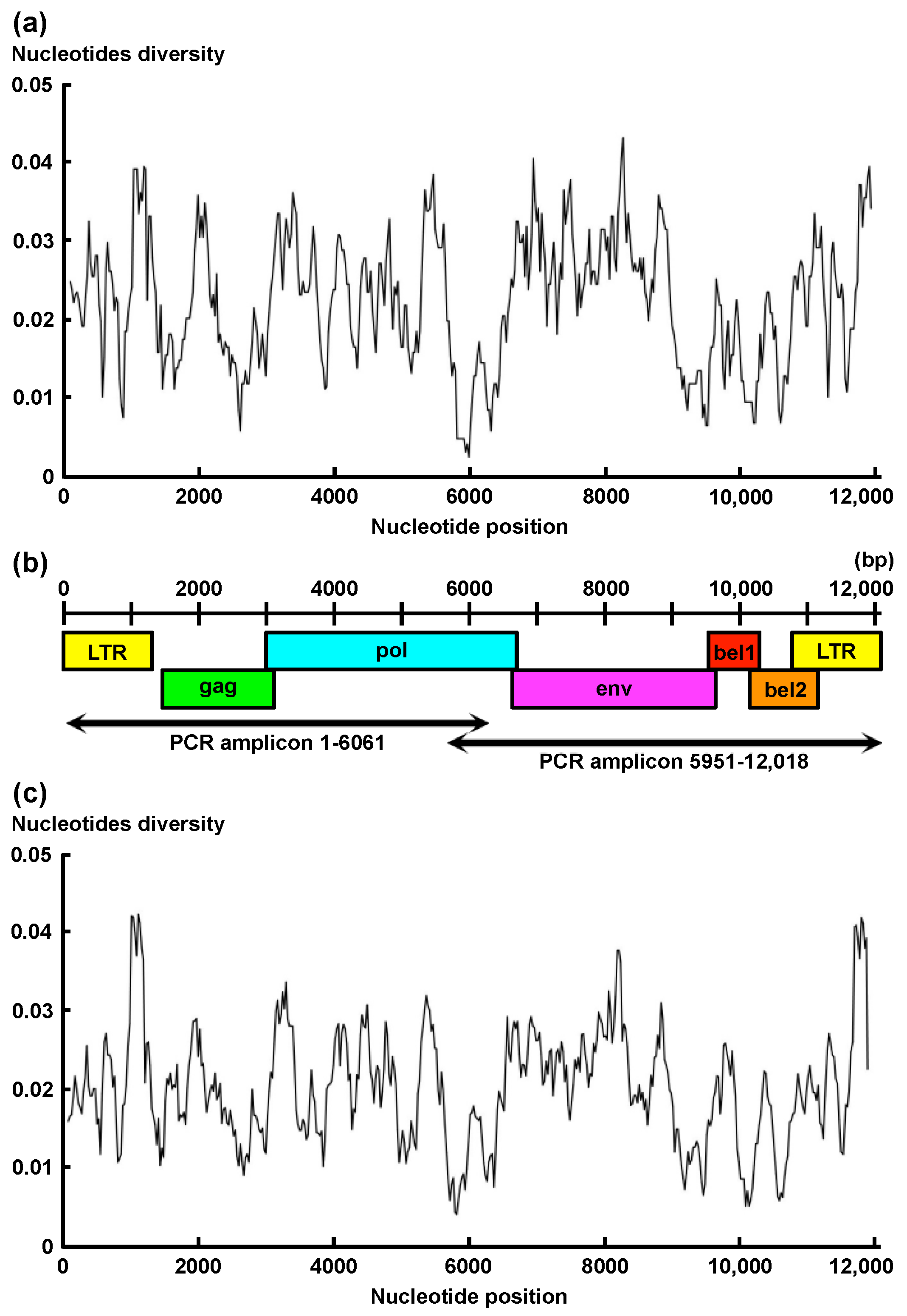 Viruses 13 01017 g002