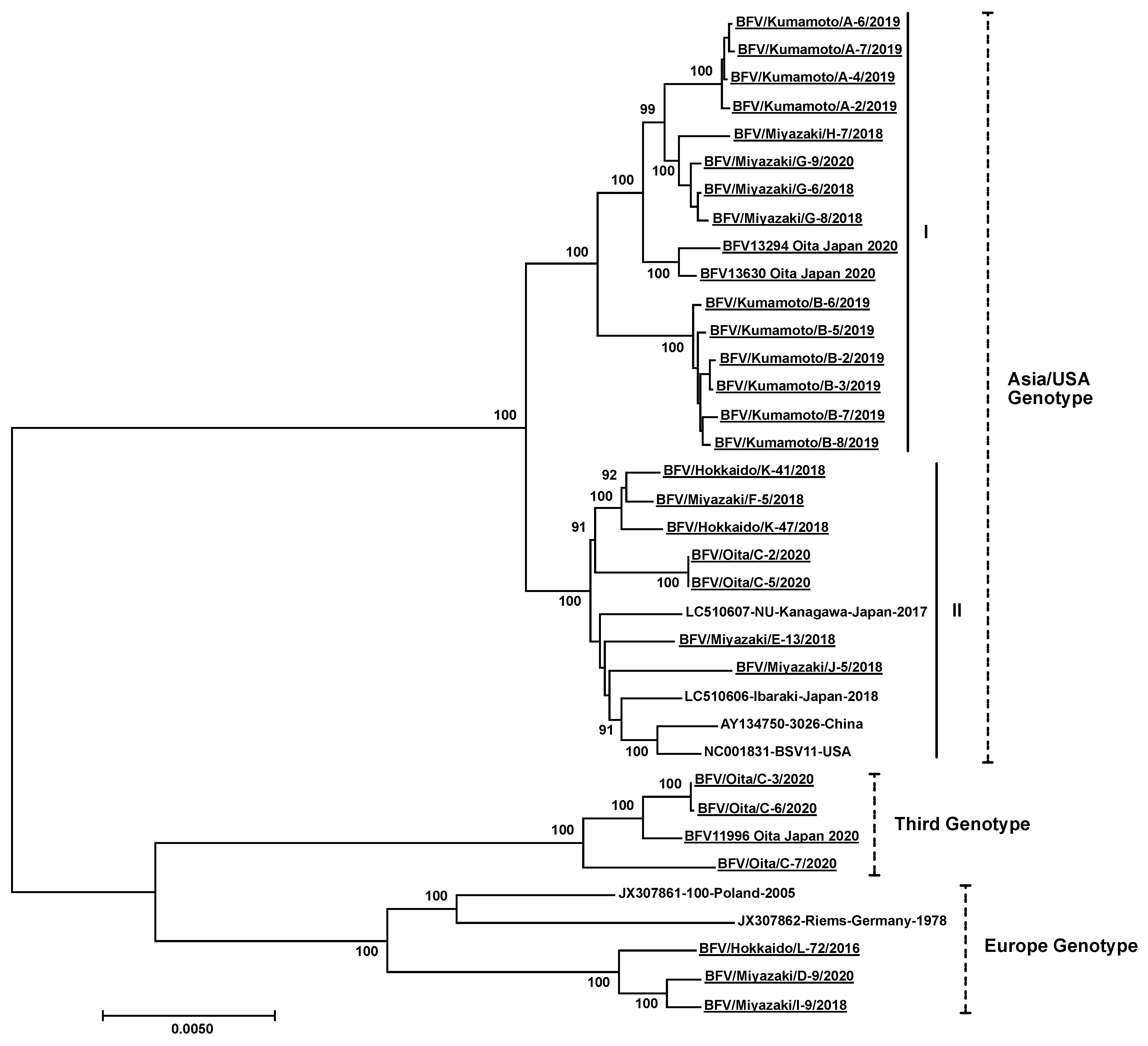 Viruses 13 01017 g003