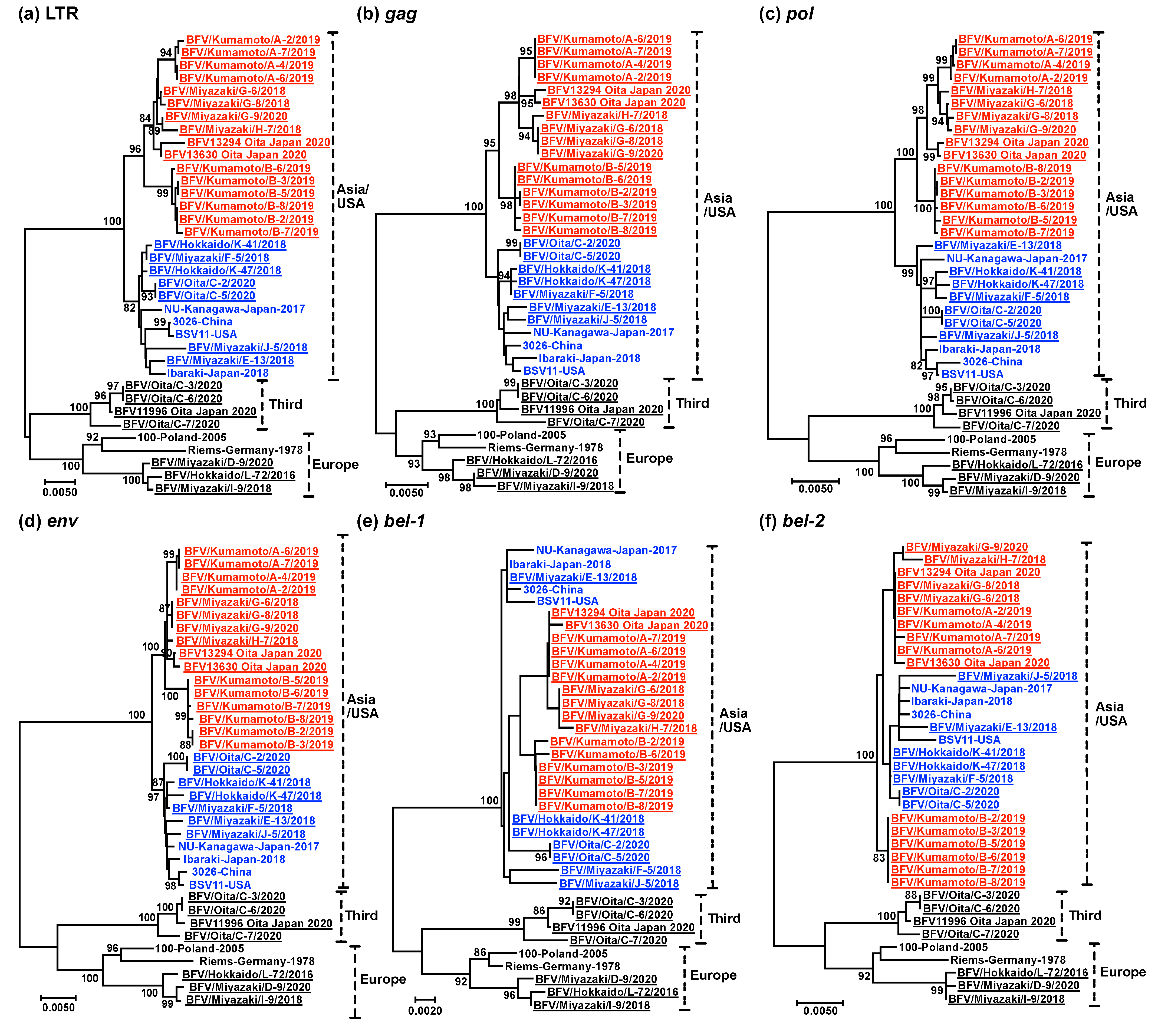 Viruses 13 01017 g004