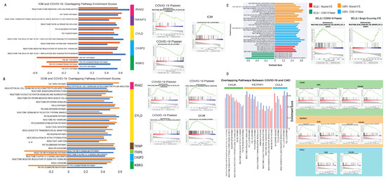 Viruses 13 01018 g0a2