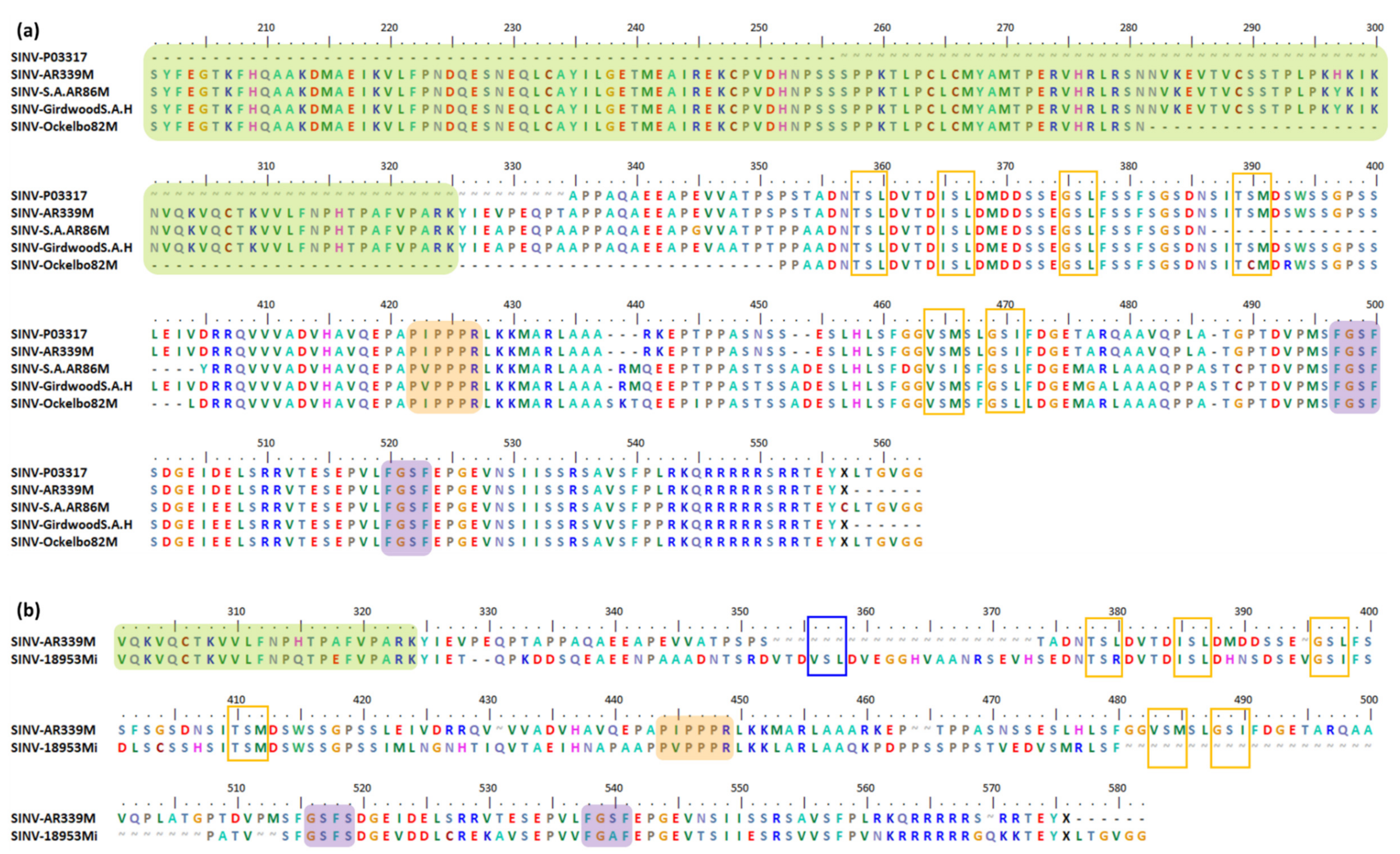 Viruses 13 01021 g004