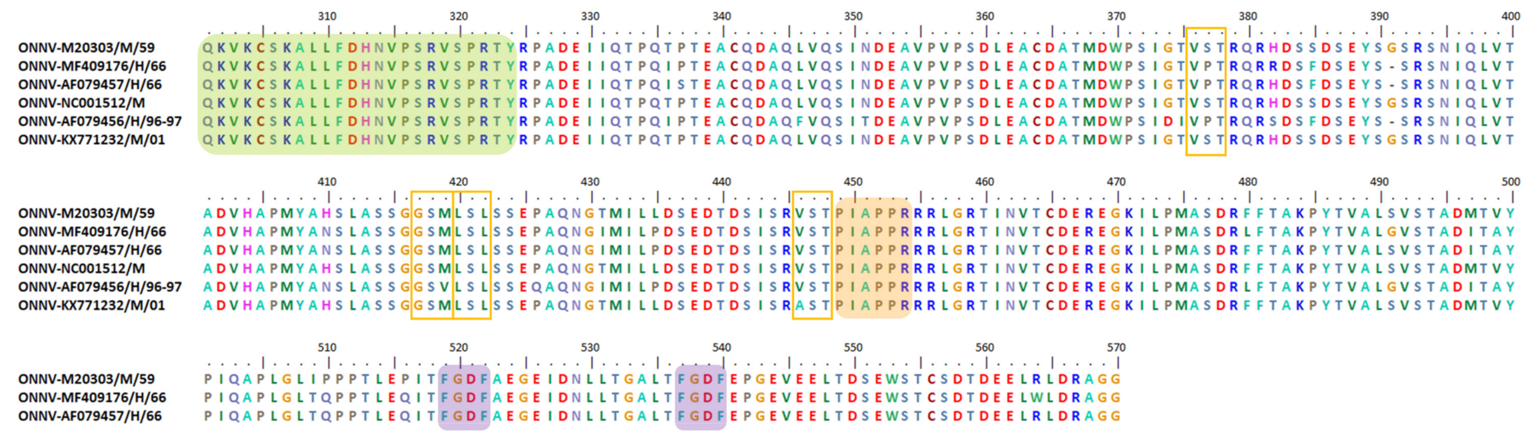 Viruses 13 01021 g008