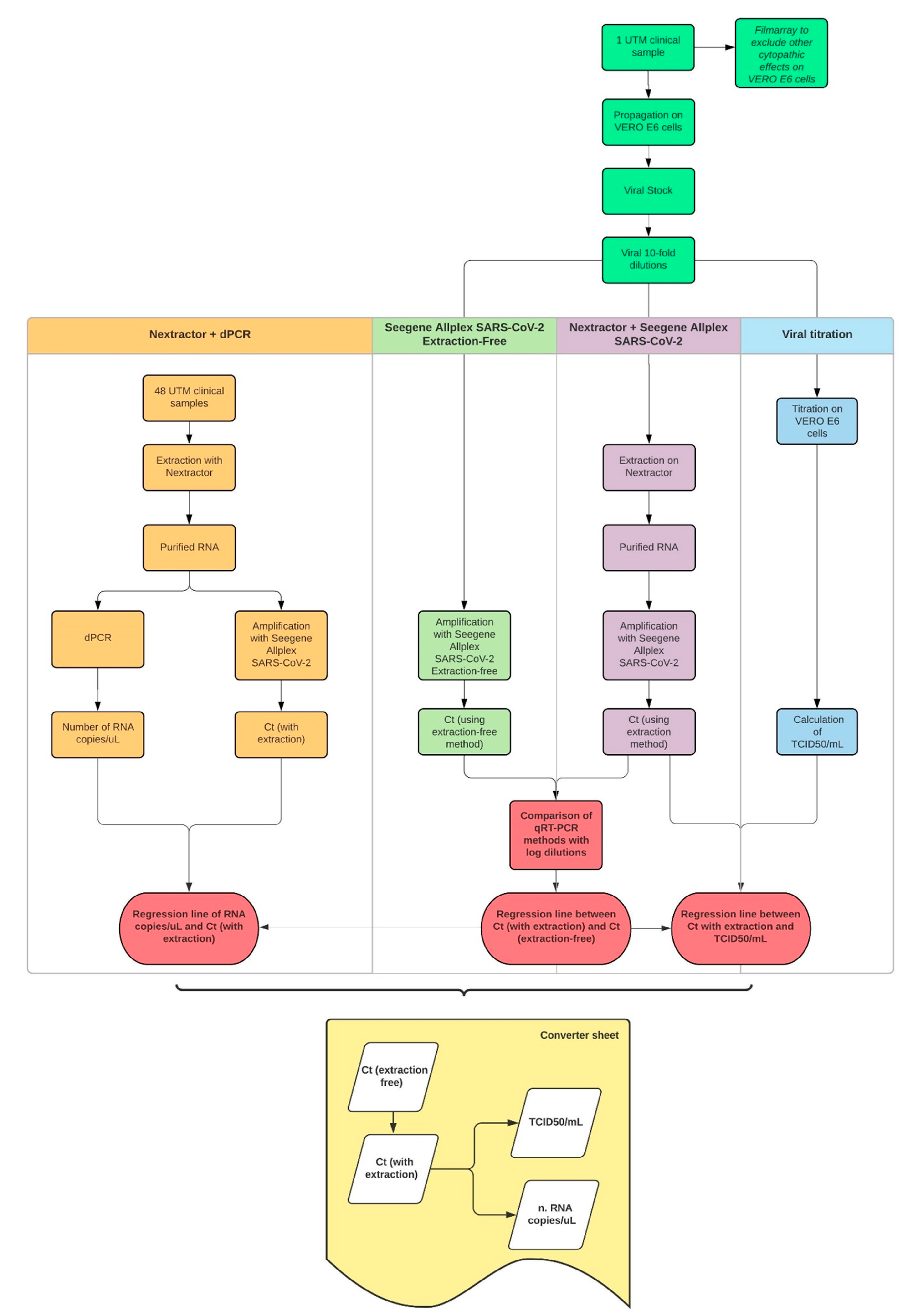 Viruses 13 01022 g006