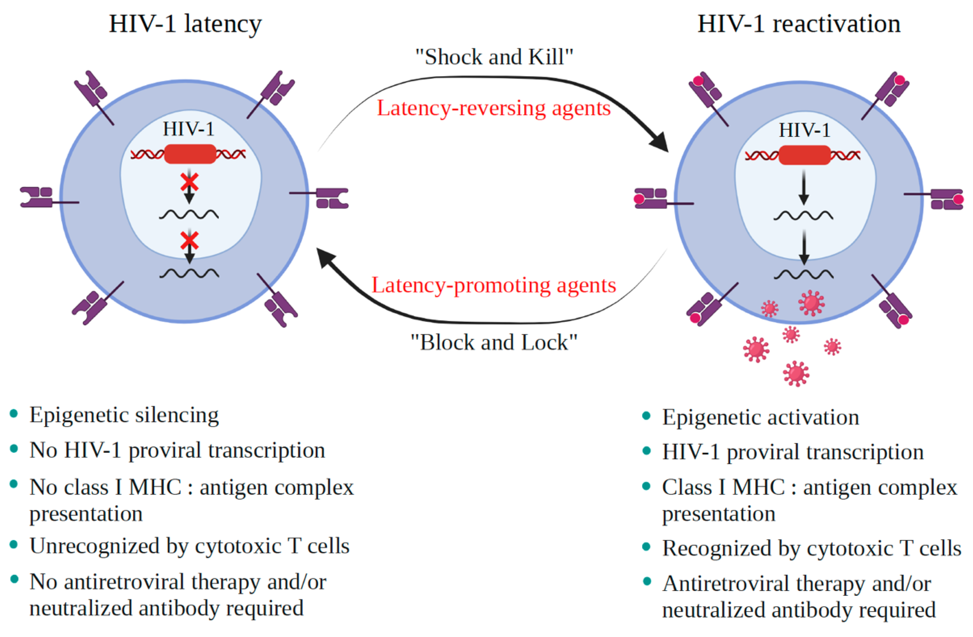 Viruses 13 01026 g001