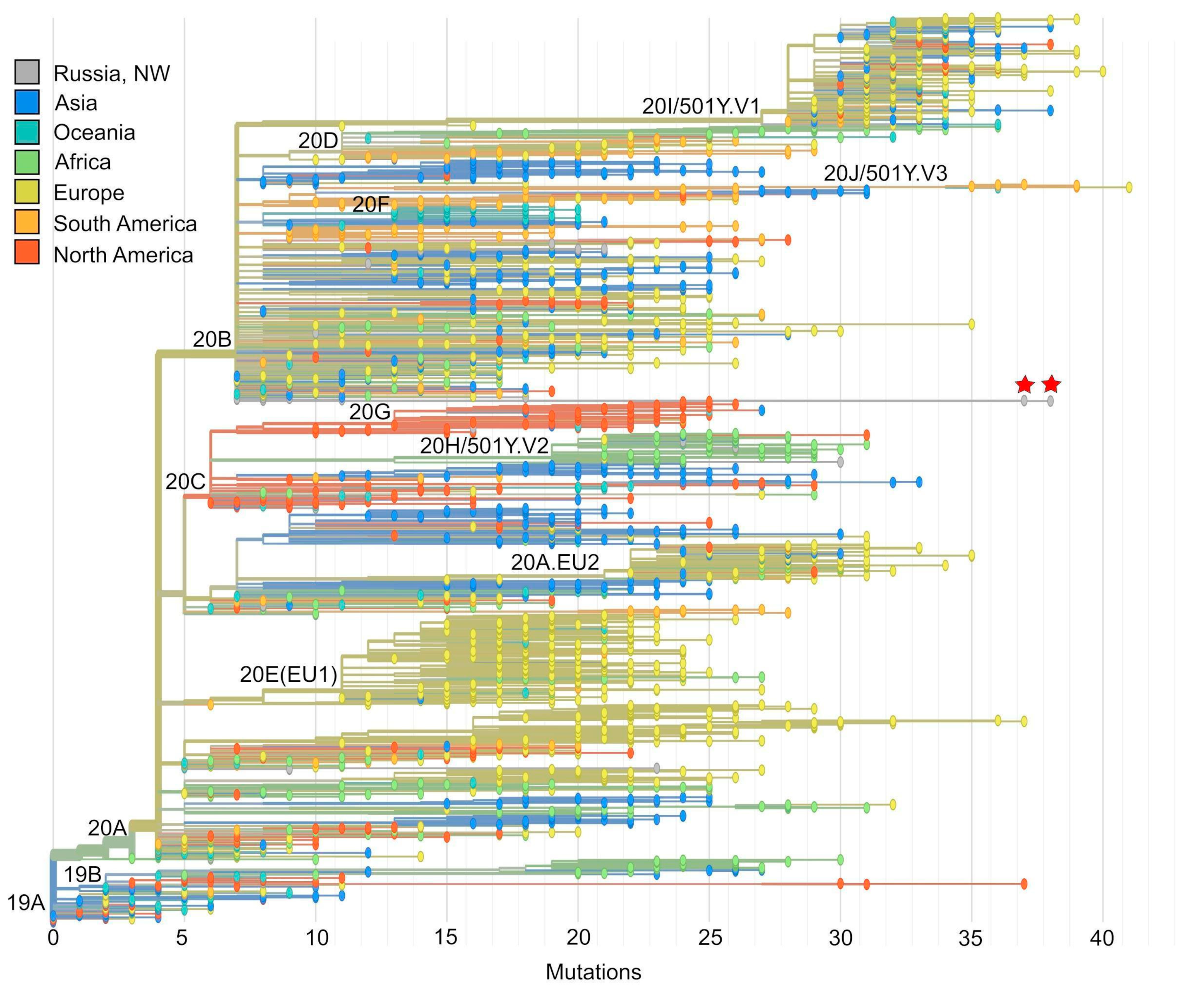 Viruses 13 01029 g001