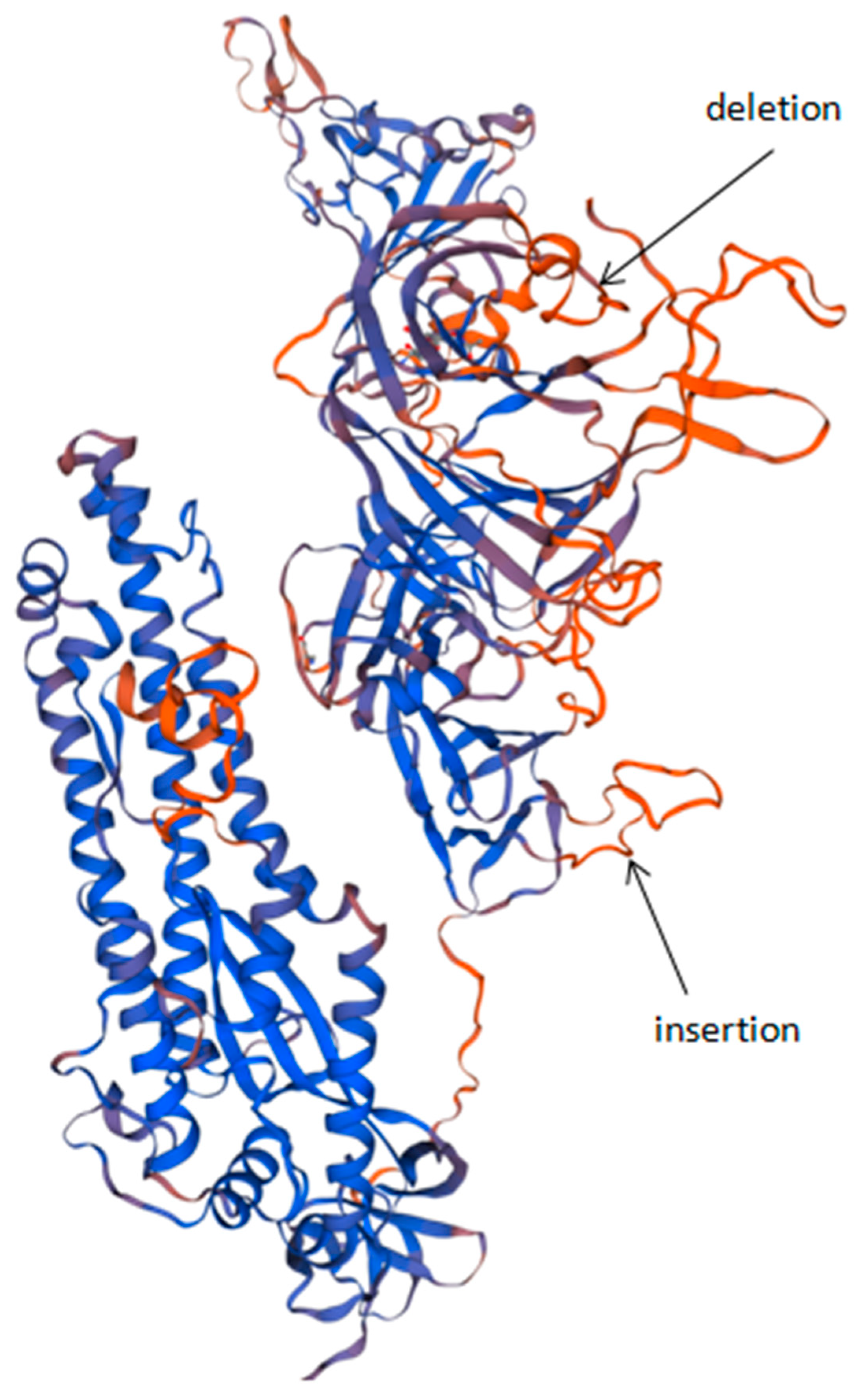 Viruses 13 01029 g003