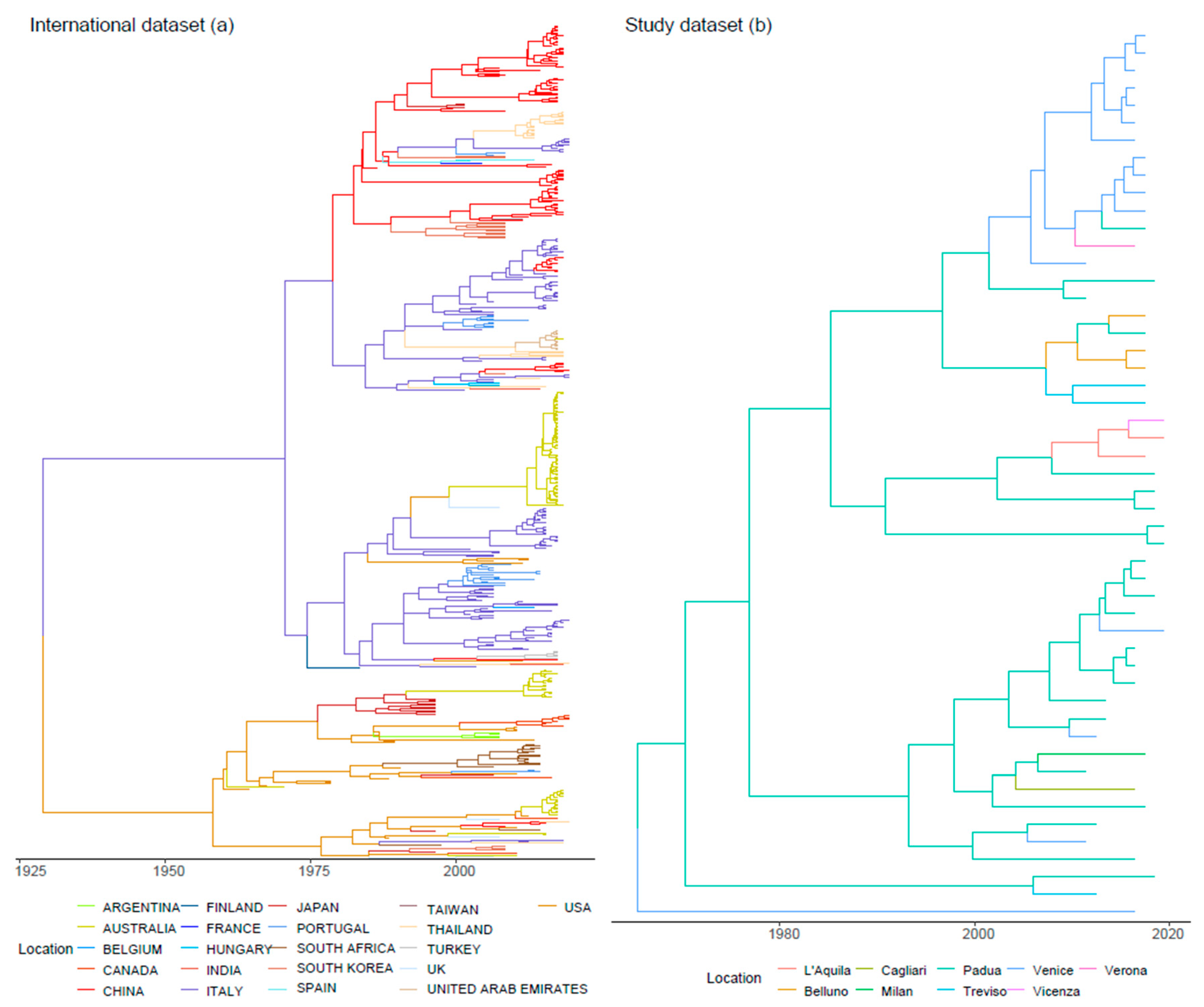 Viruses 13 01033 g002