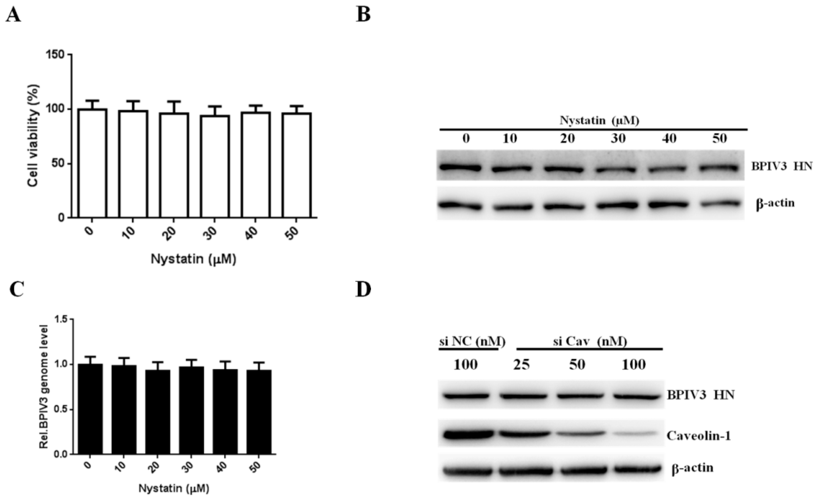Viruses 13 01035 g004