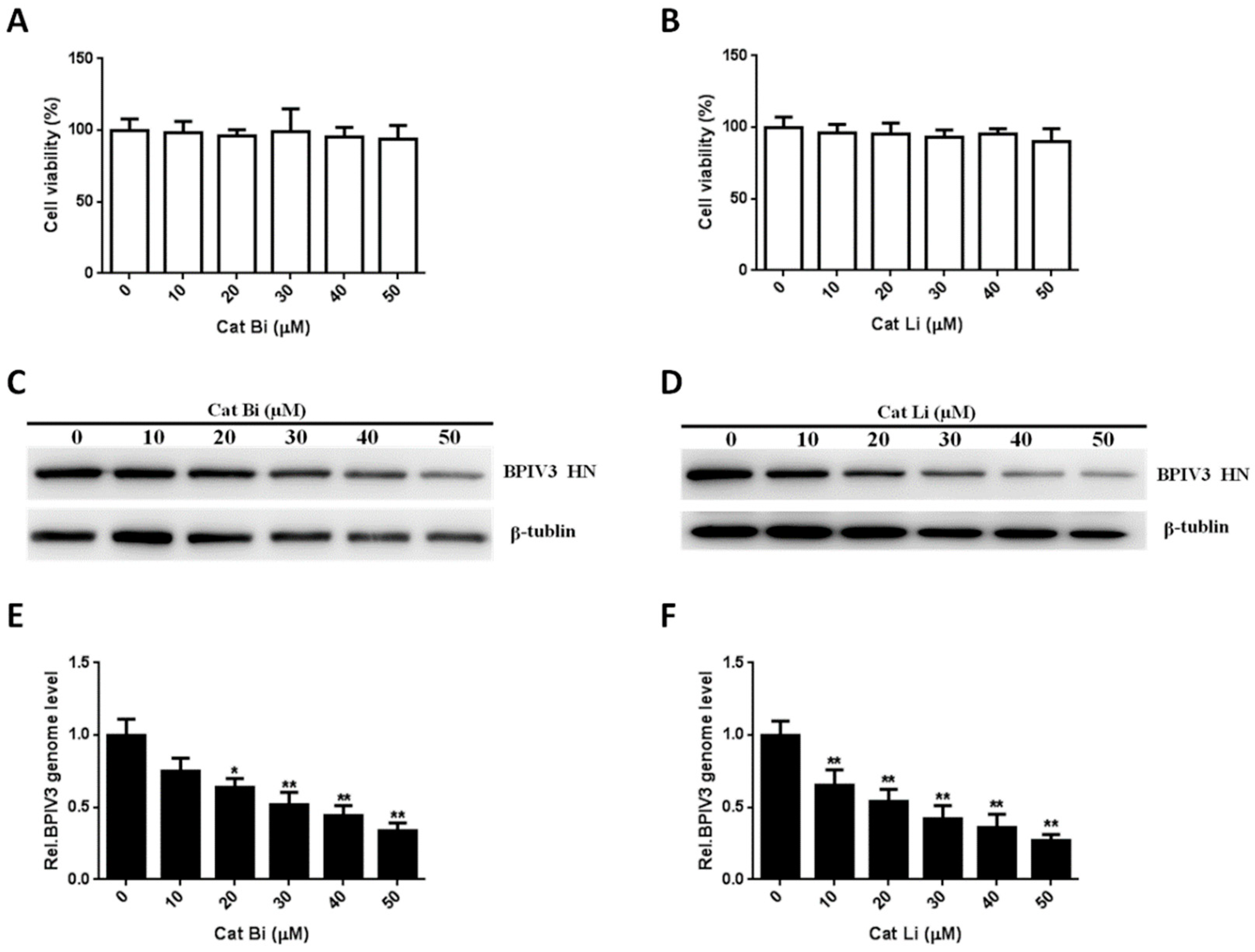 Viruses 13 01035 g007