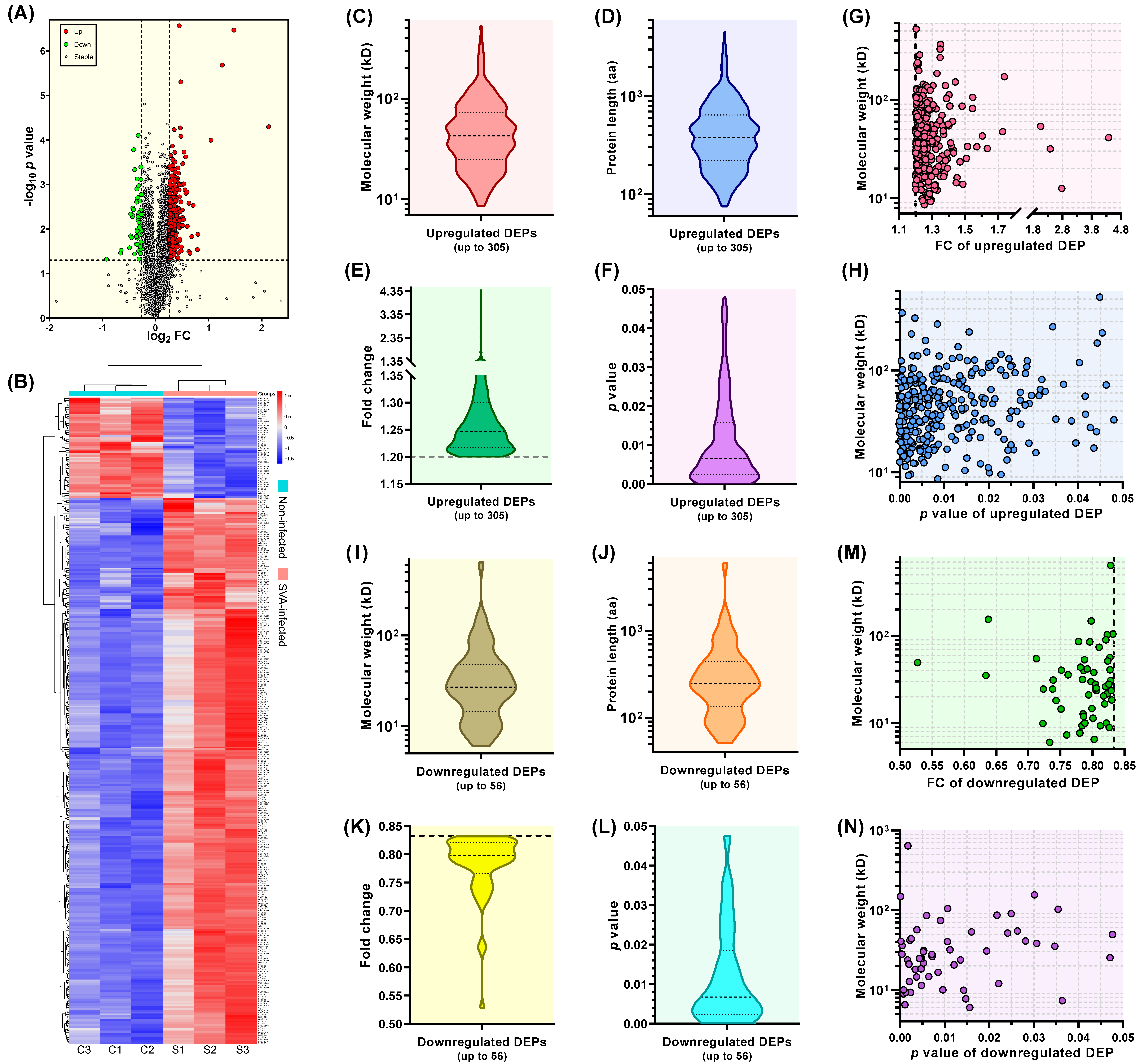 Viruses 13 01036 g003