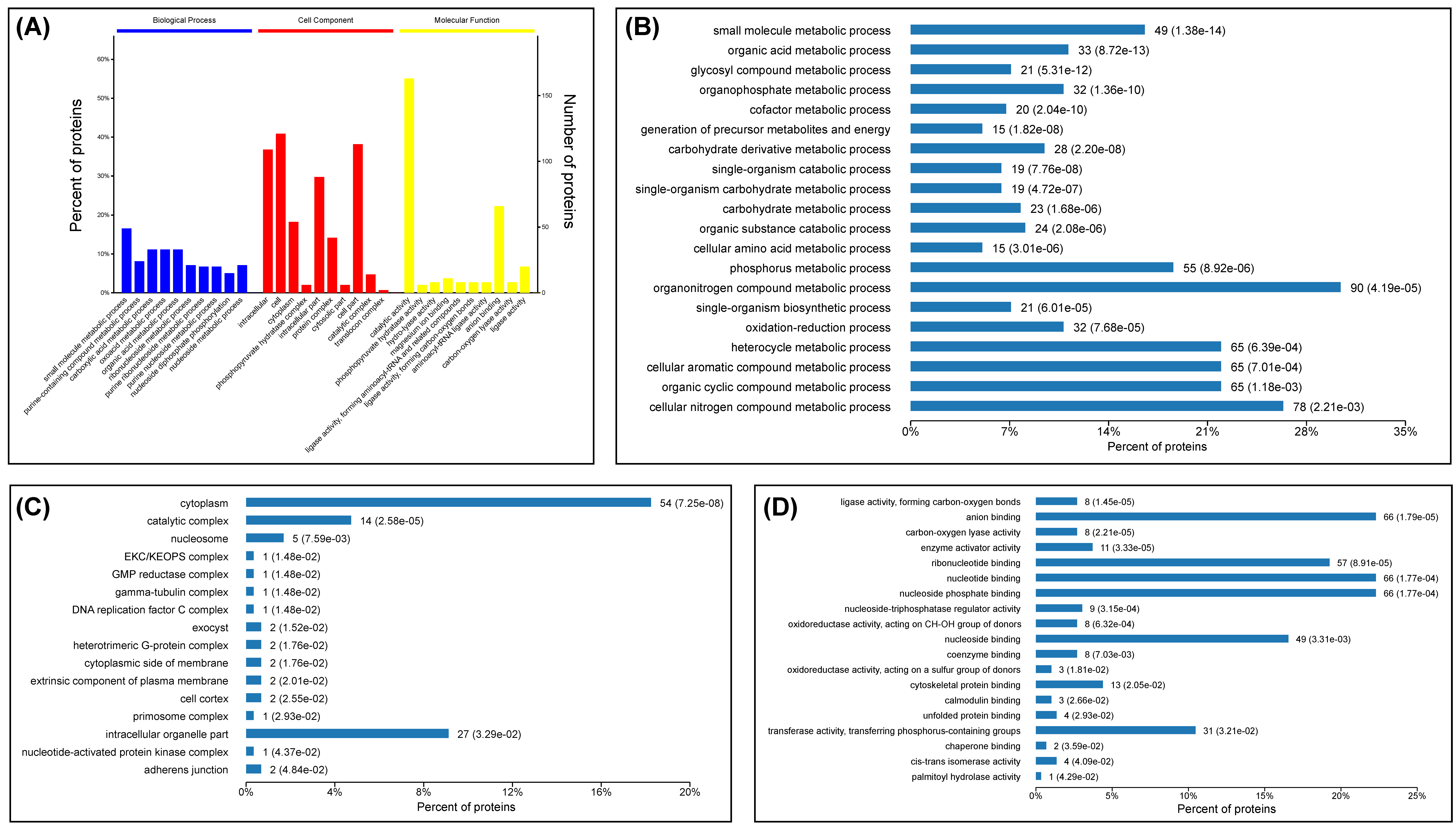 Viruses 13 01036 g004