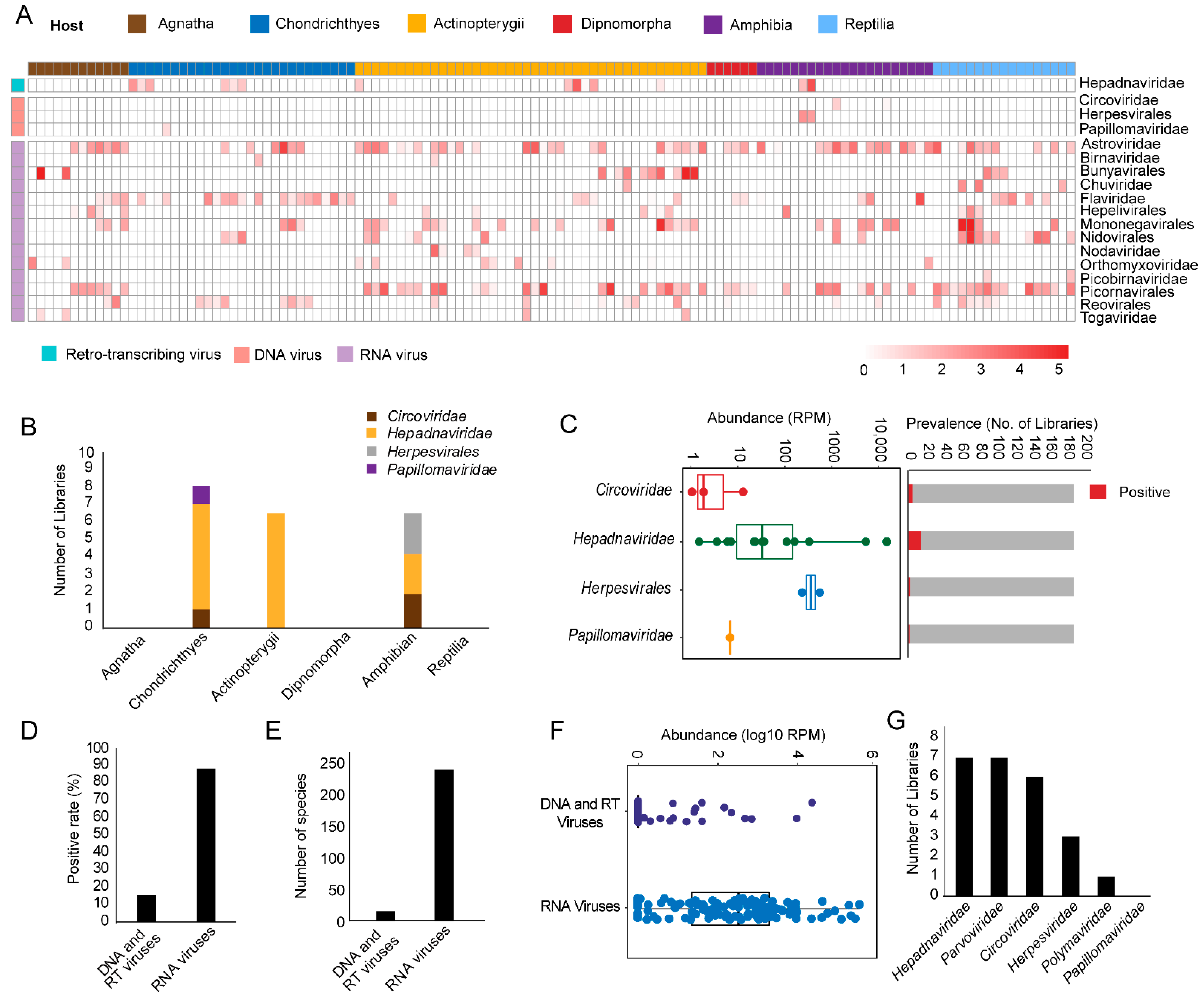 Viruses 13 01042 g001