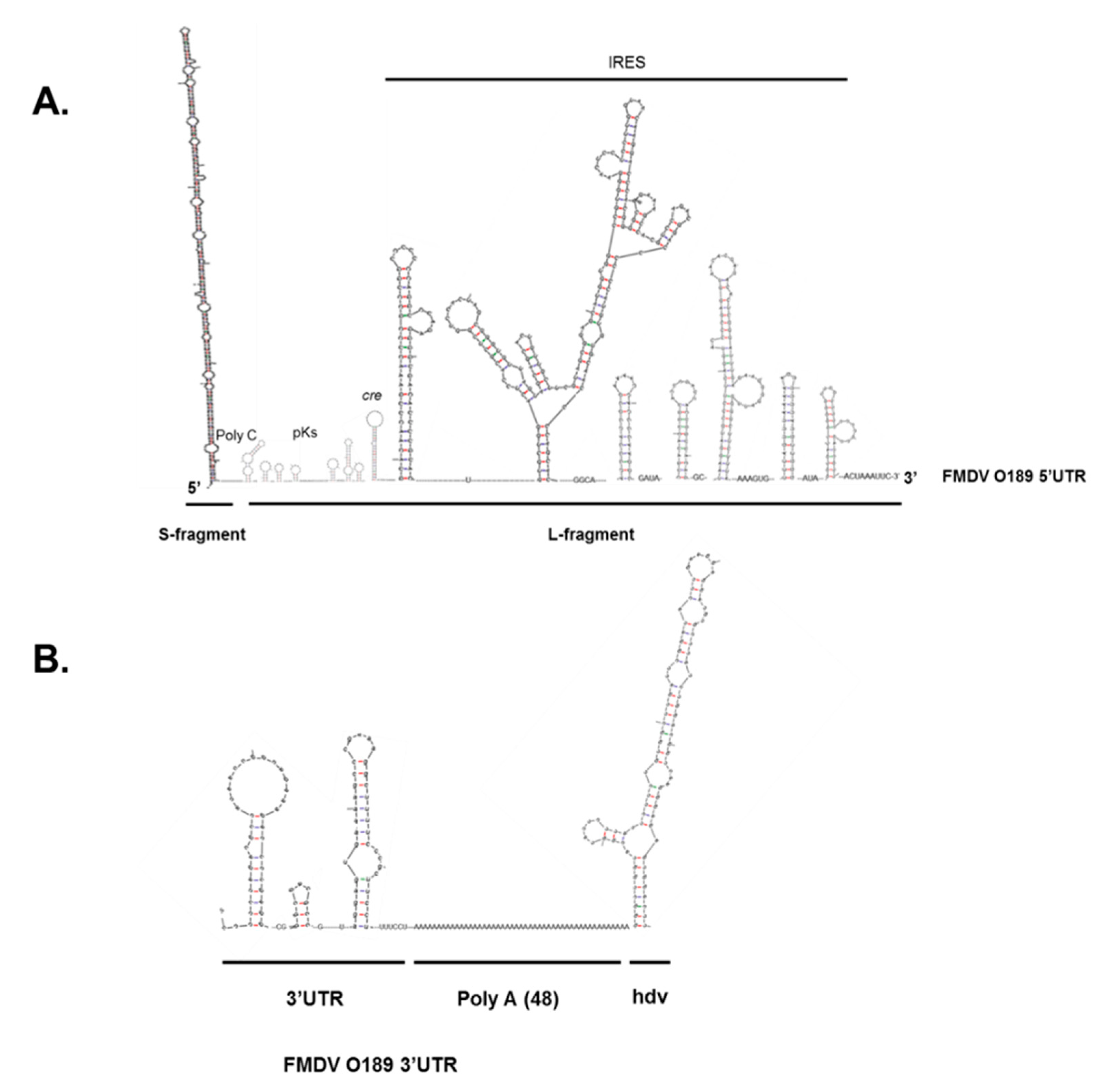 Viruses 13 01047 g003