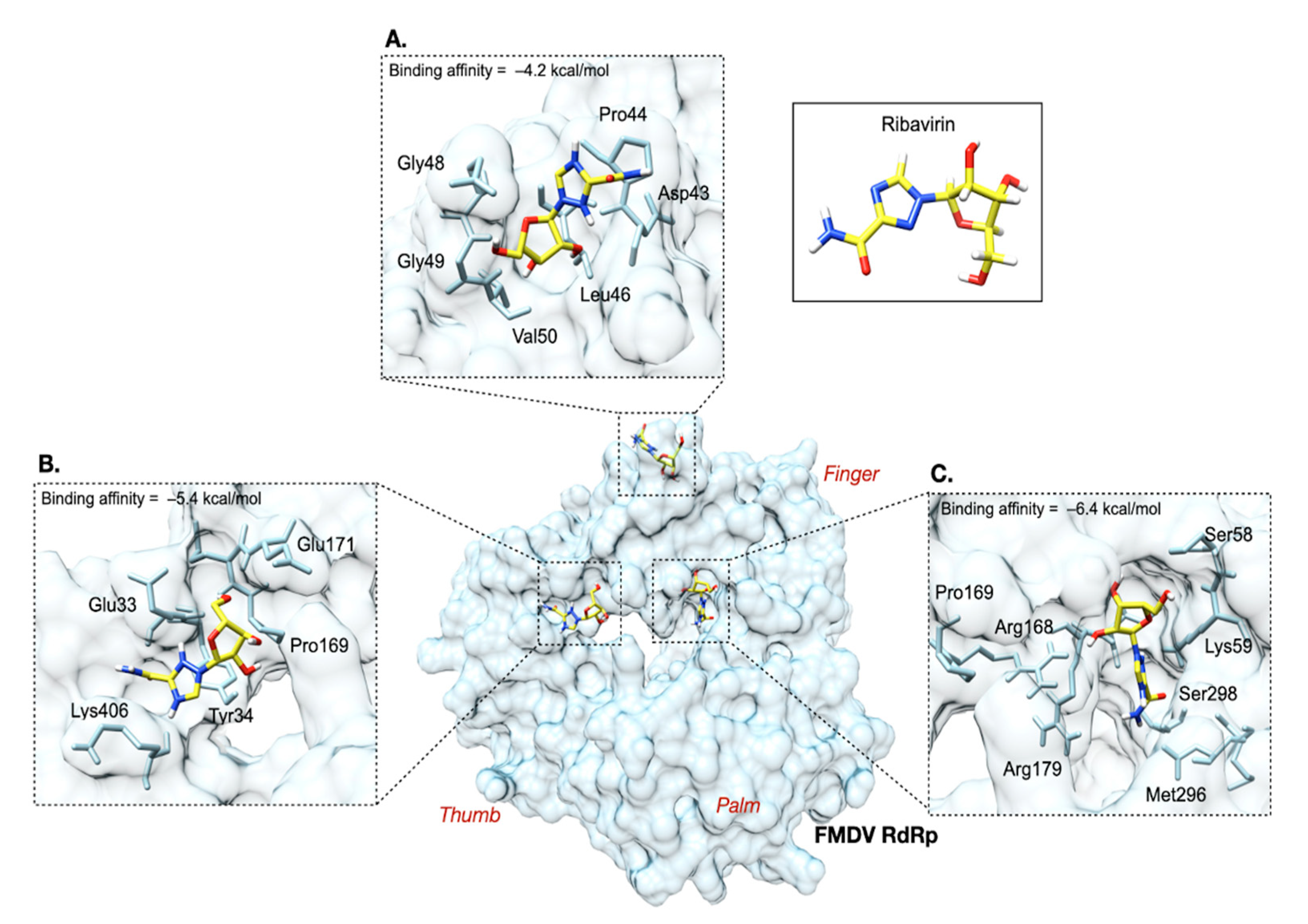 Viruses 13 01047 g007