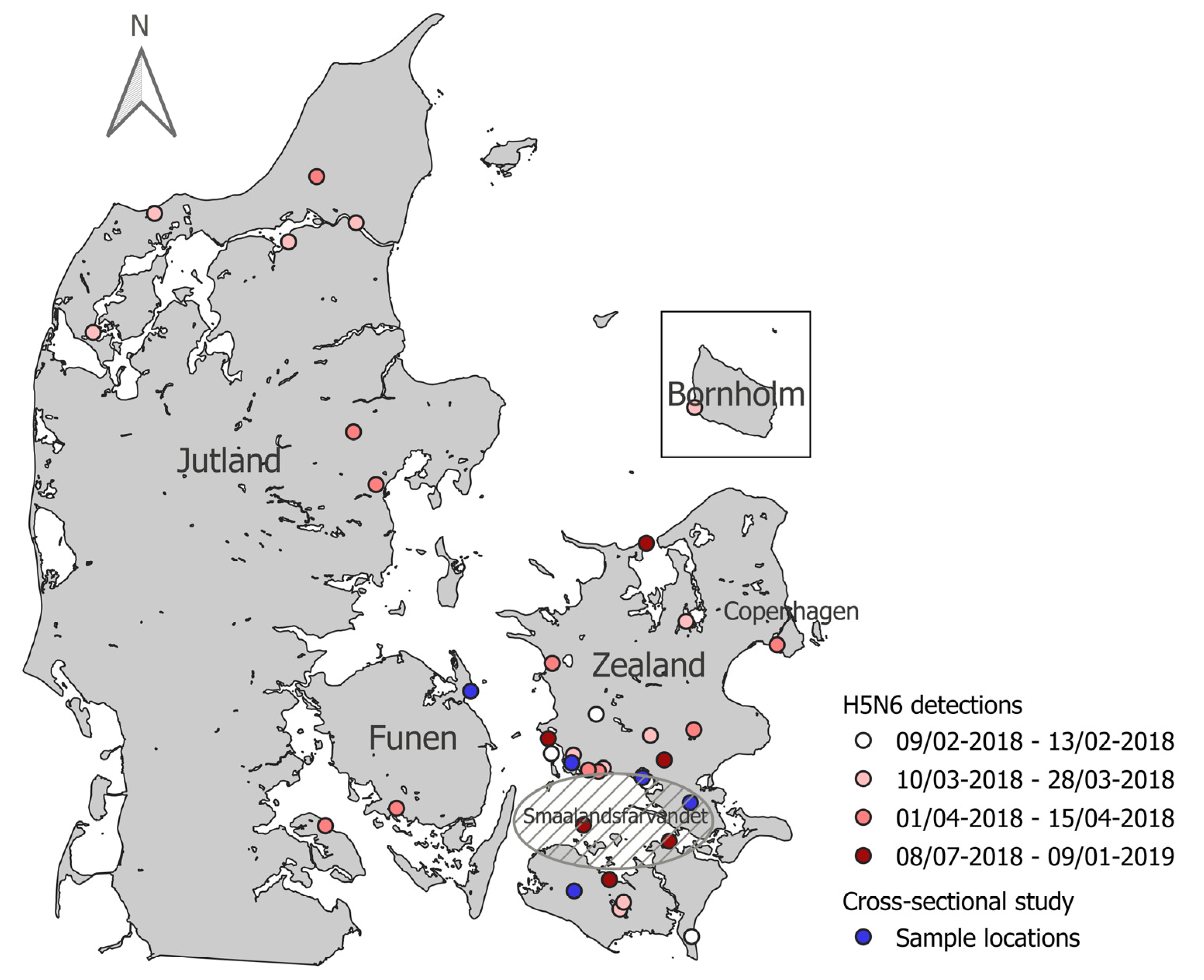 Viruses 13 01052 g001