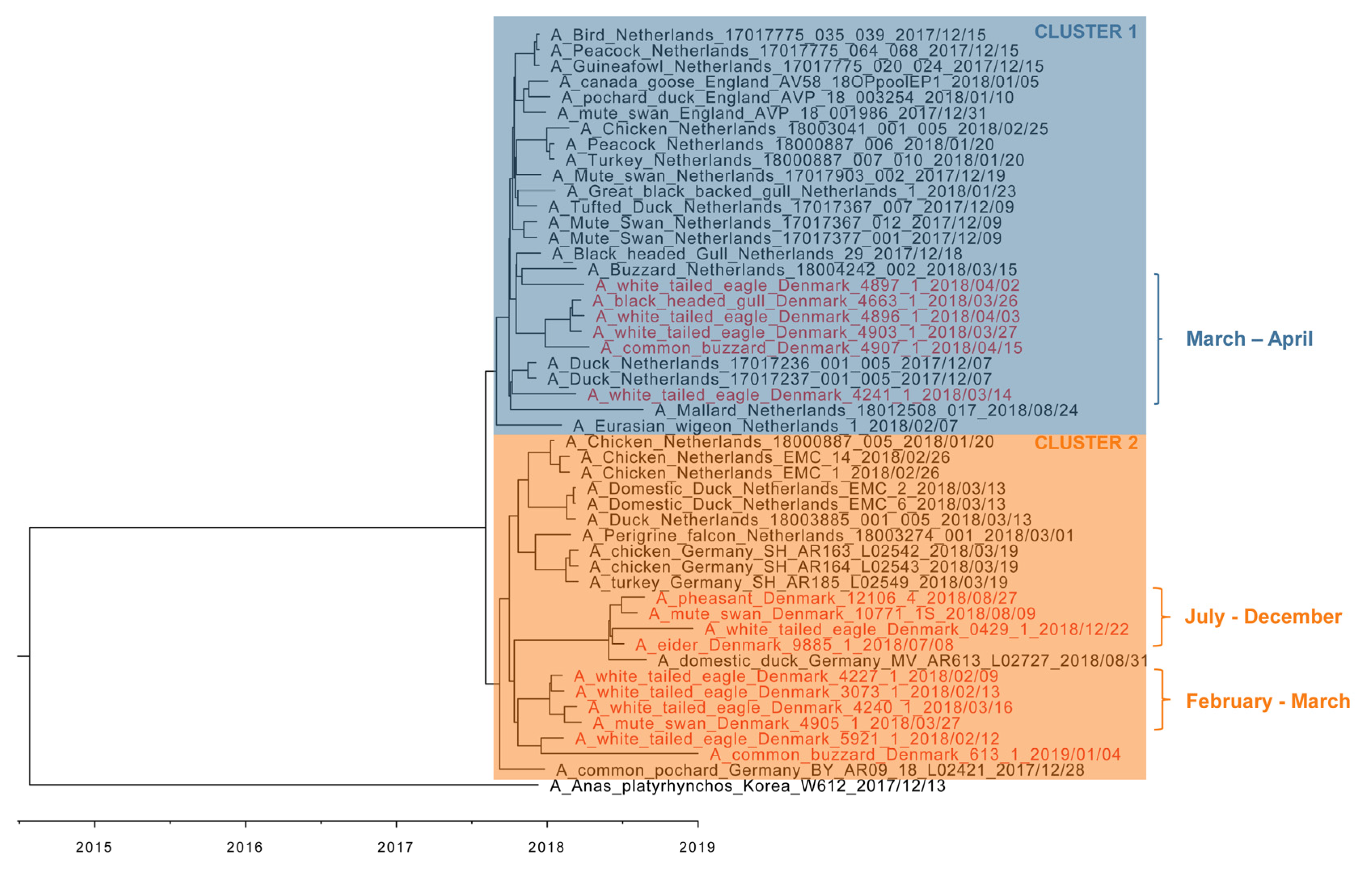 Viruses 13 01052 g002