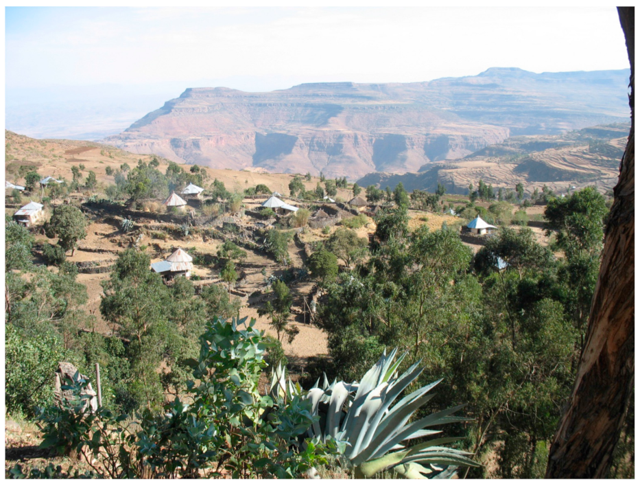 Viruses 13 01054 g001 Viruses 13 01054 g001