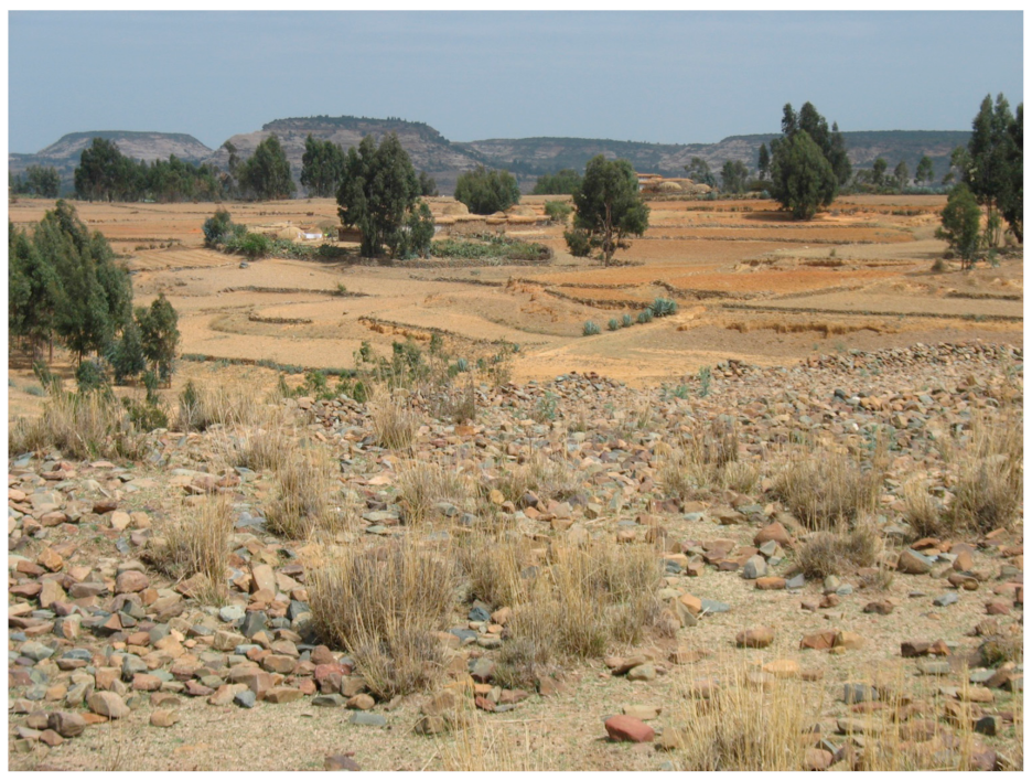 Viruses 13 01054 g002 Viruses 13 01054 g002