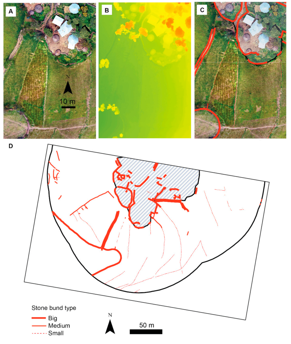 Viruses 13 01054 g003 Viruses 13 01054 g003