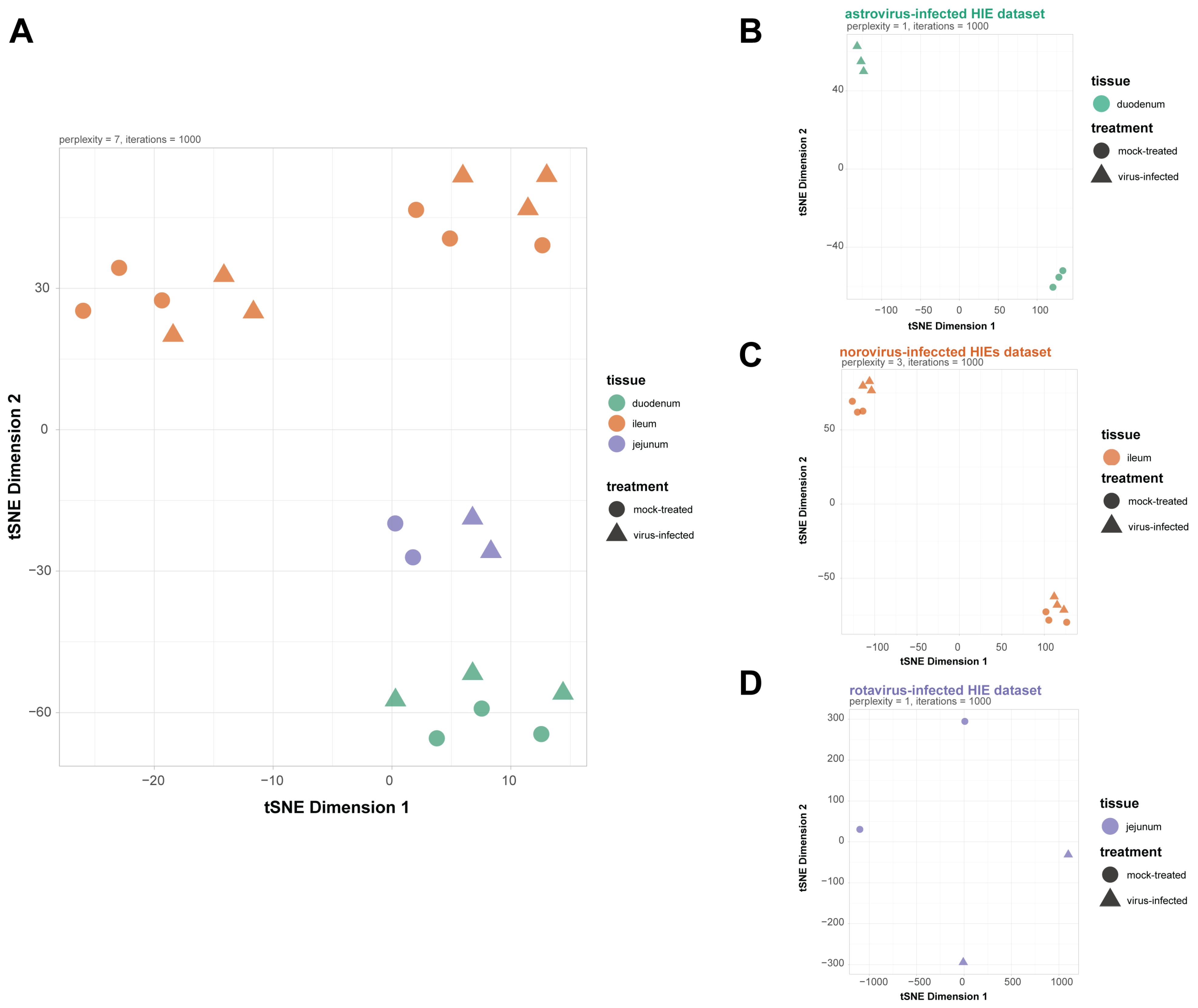 Viruses 13 01059 g001