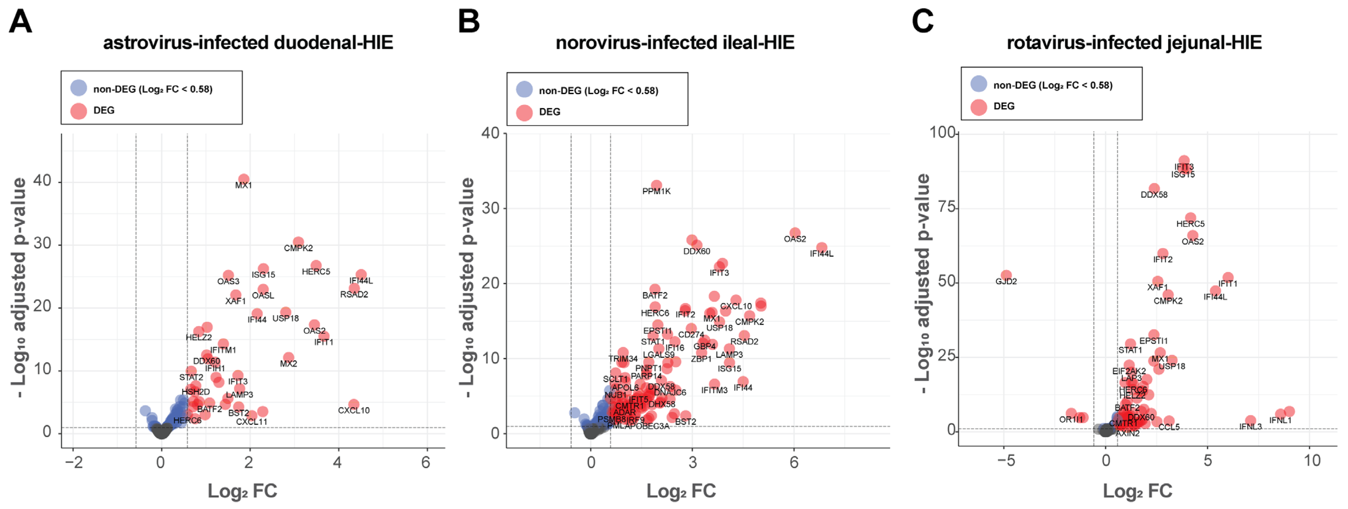 Viruses 13 01059 g003