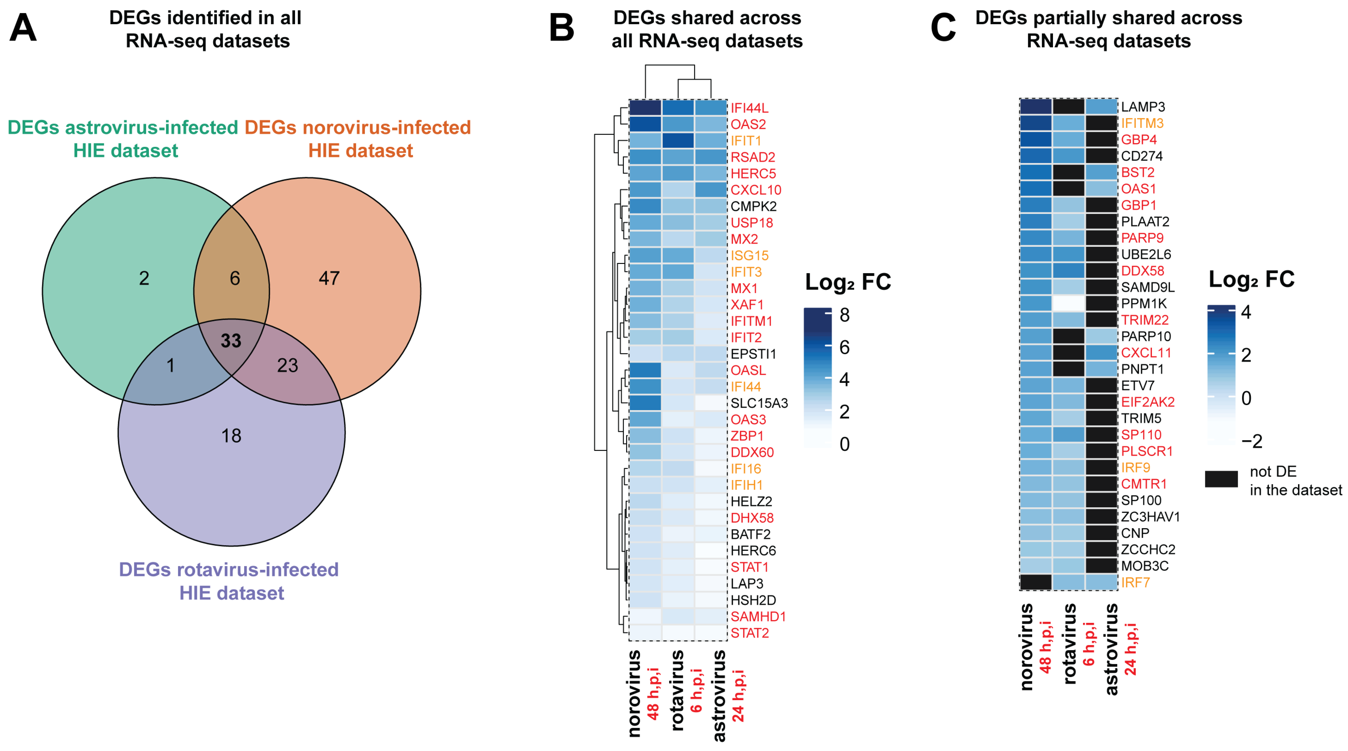 Viruses 13 01059 g004