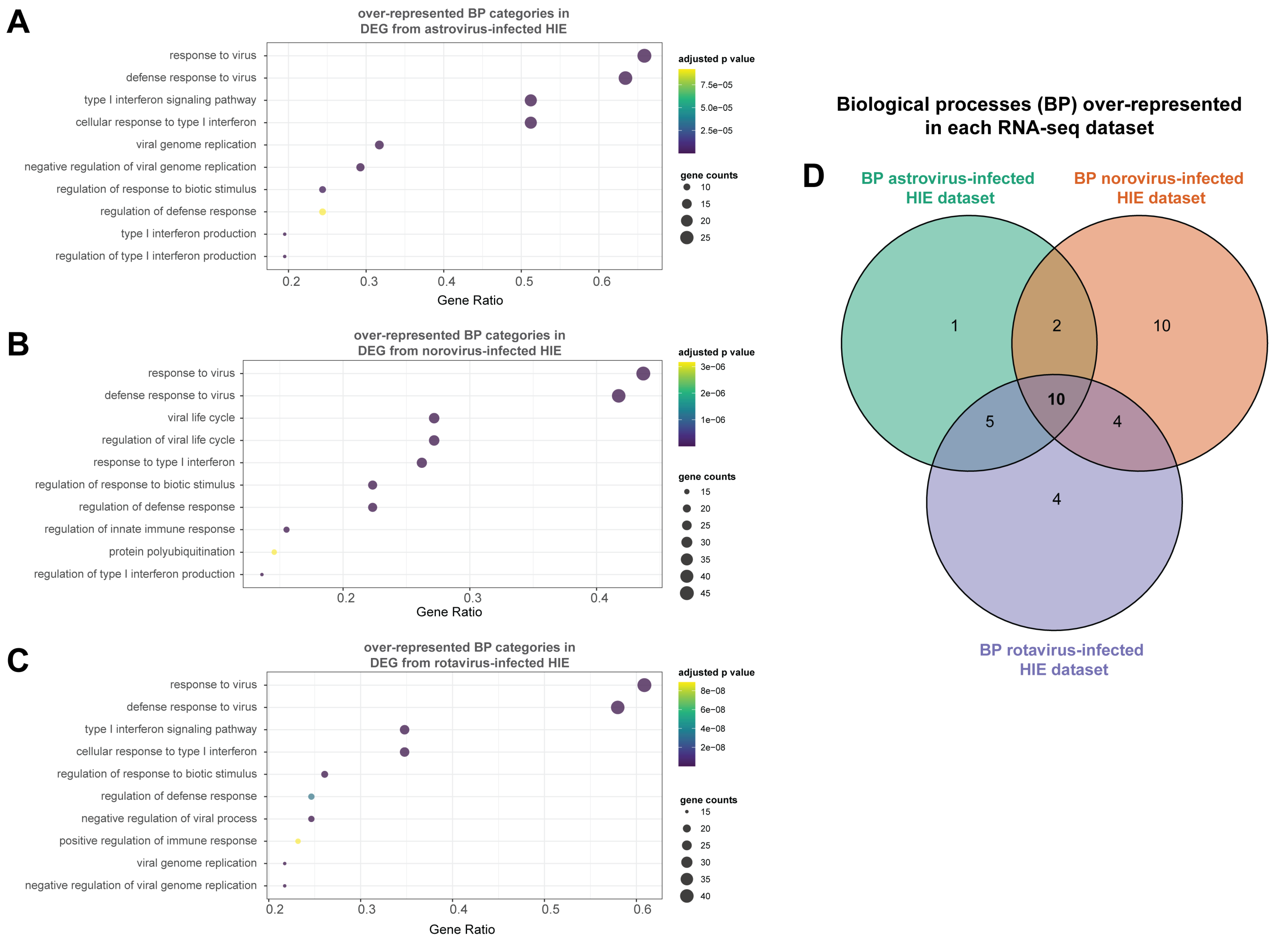 Viruses 13 01059 g005