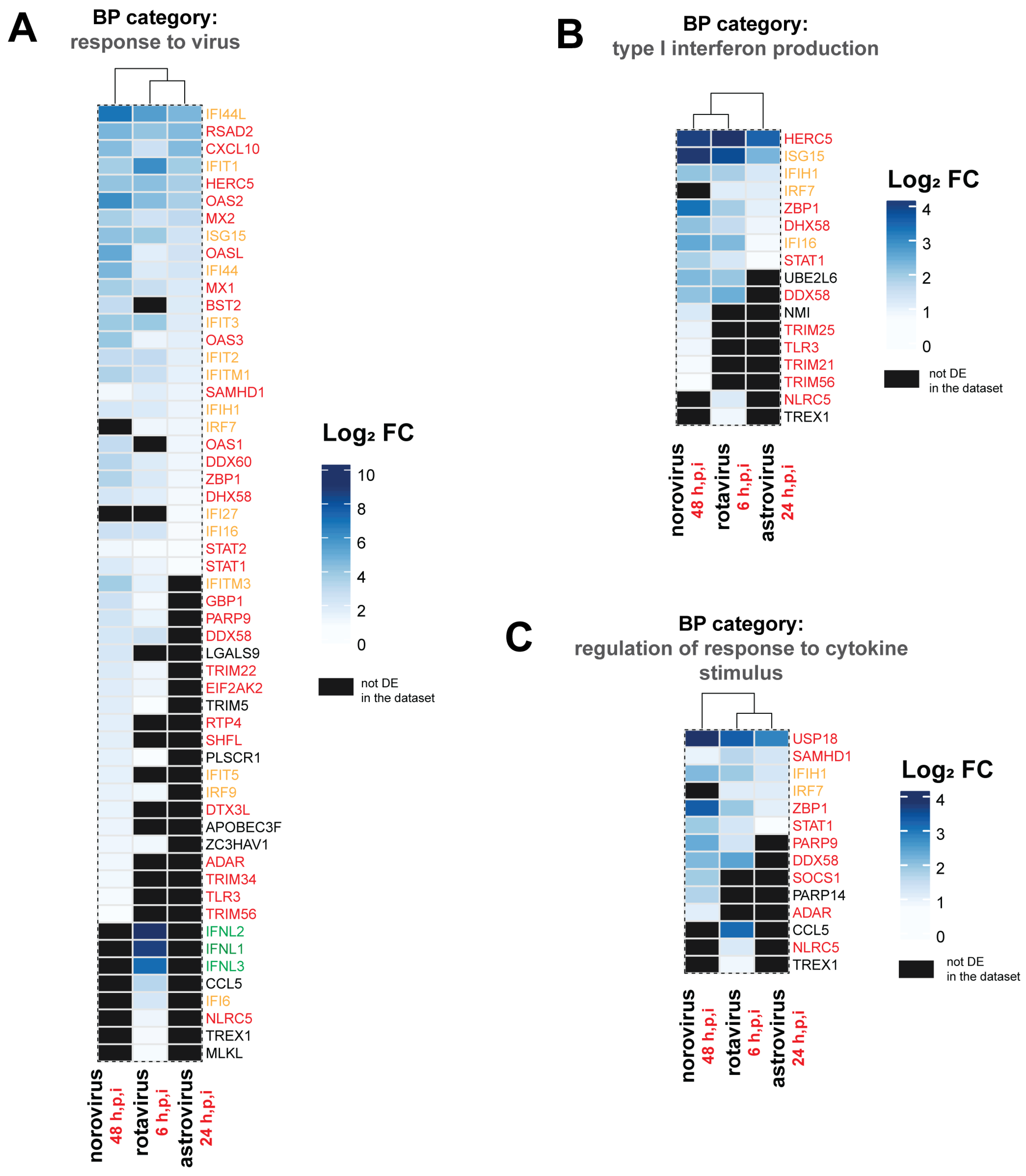 Viruses 13 01059 g006