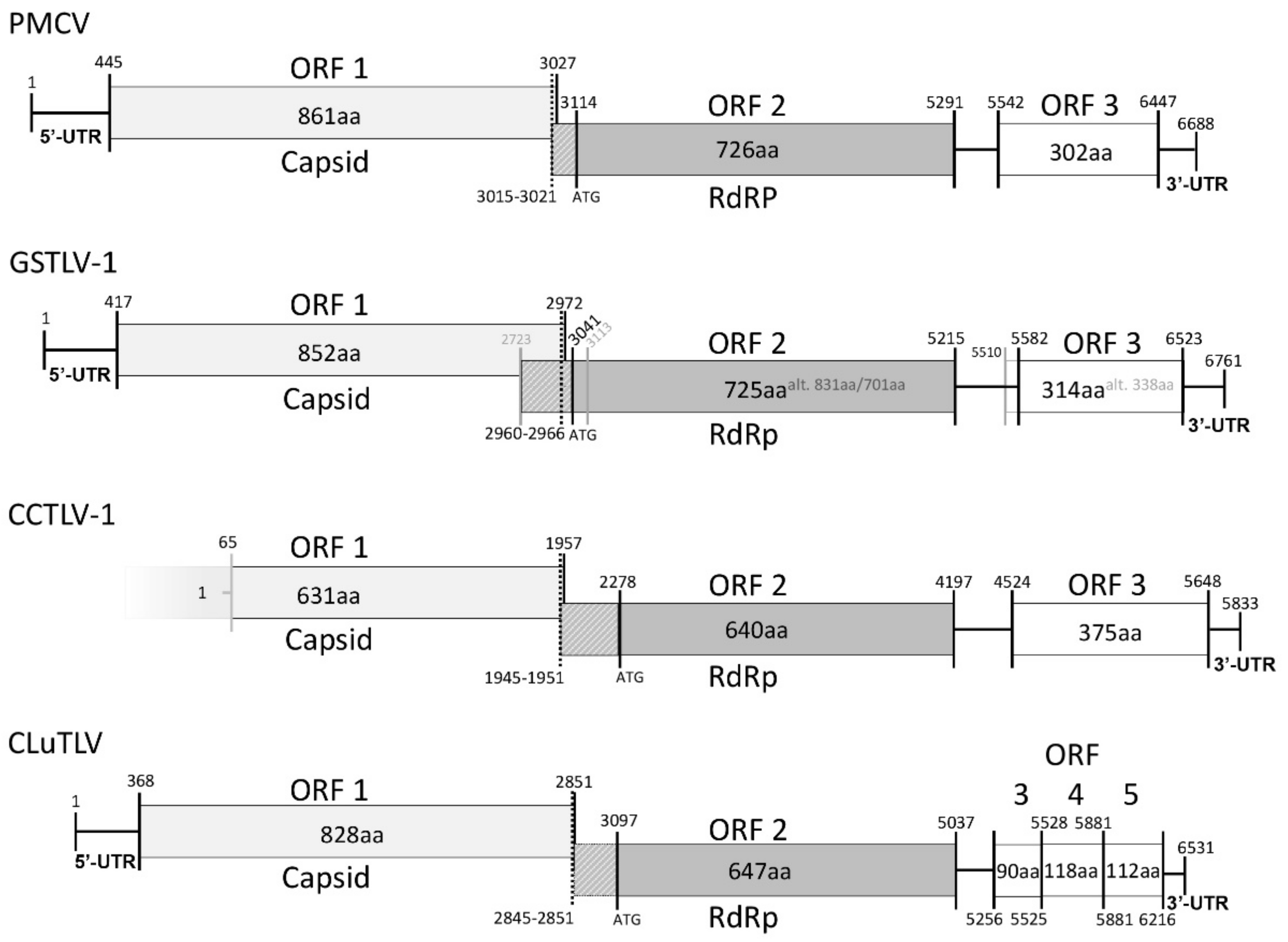 Viruses 13 01063 g001