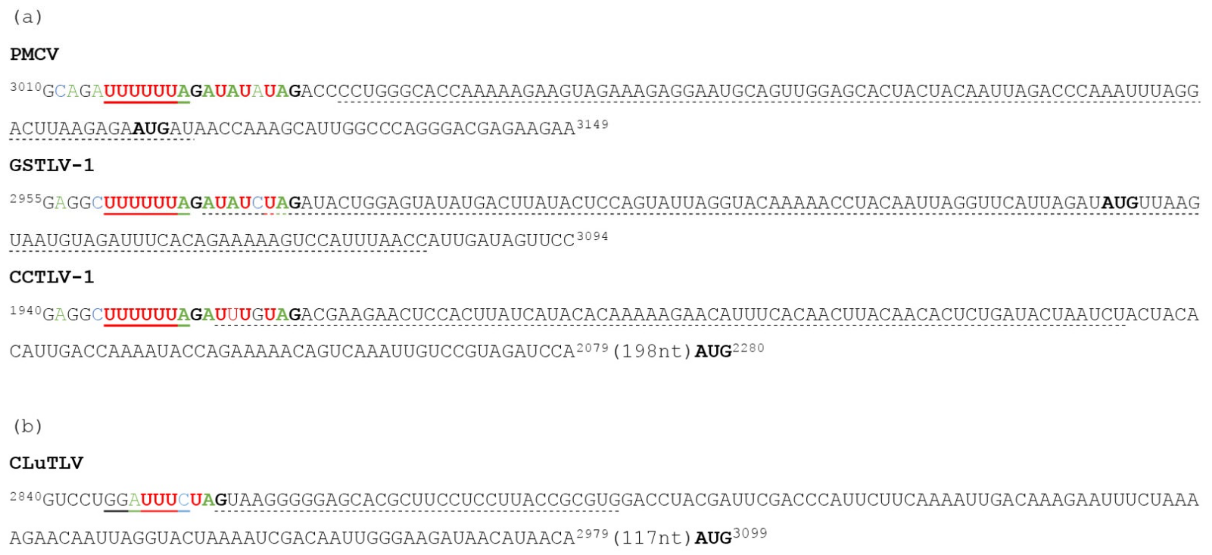 Viruses 13 01063 g002