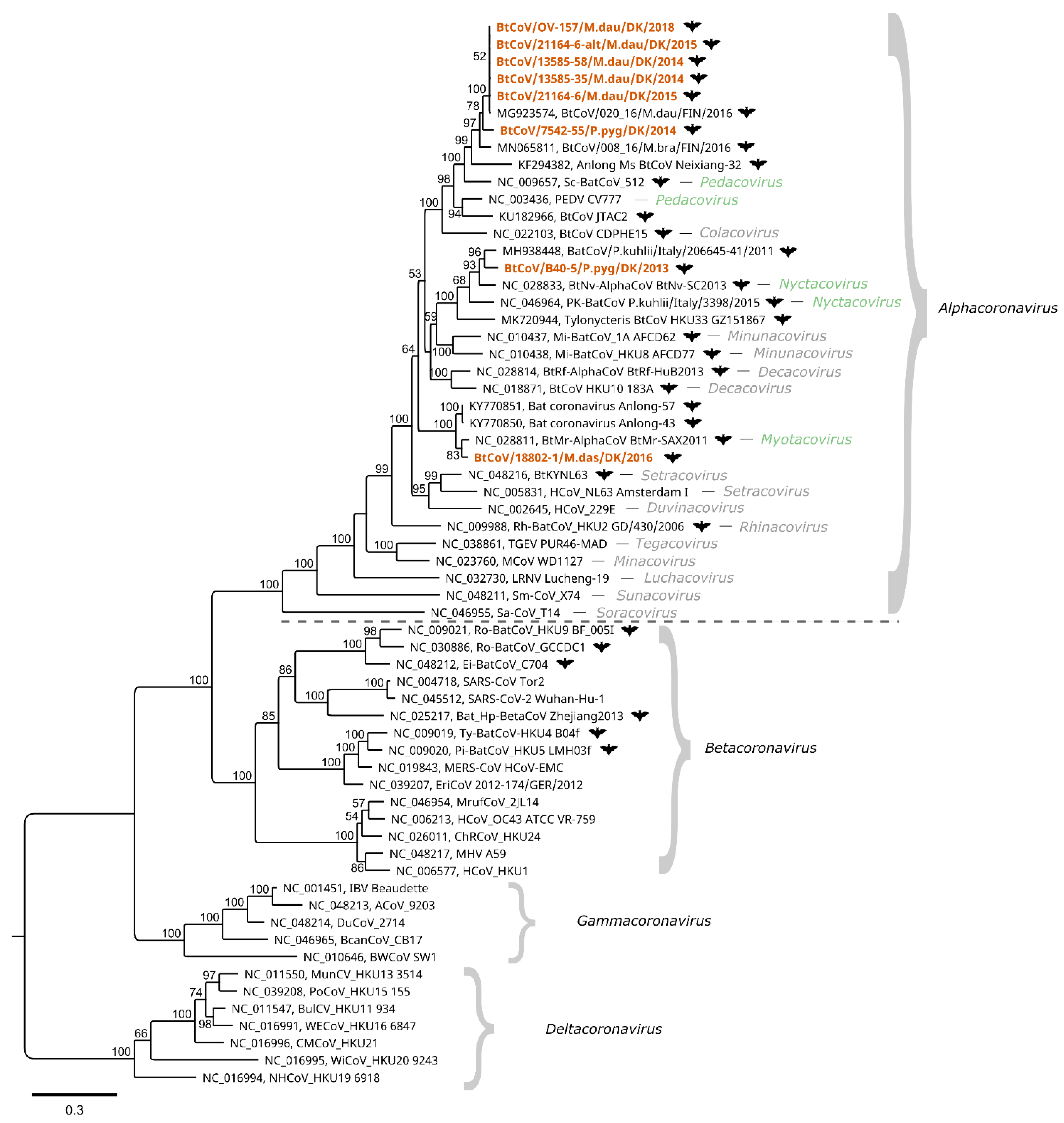 Viruses 13 01073 g002 Viruses 13 01073 g002